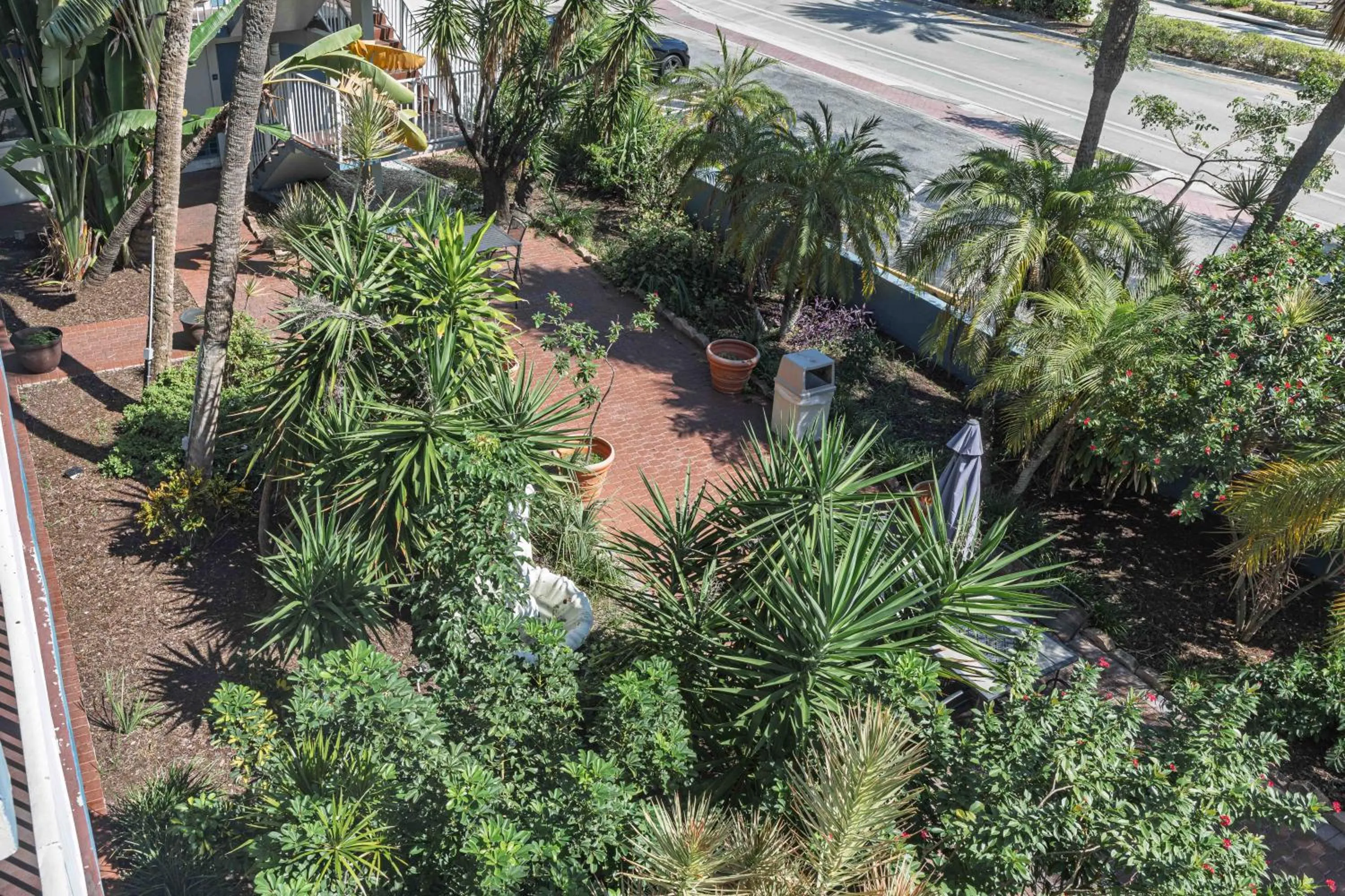Garden view in Ocean Reef Hotel