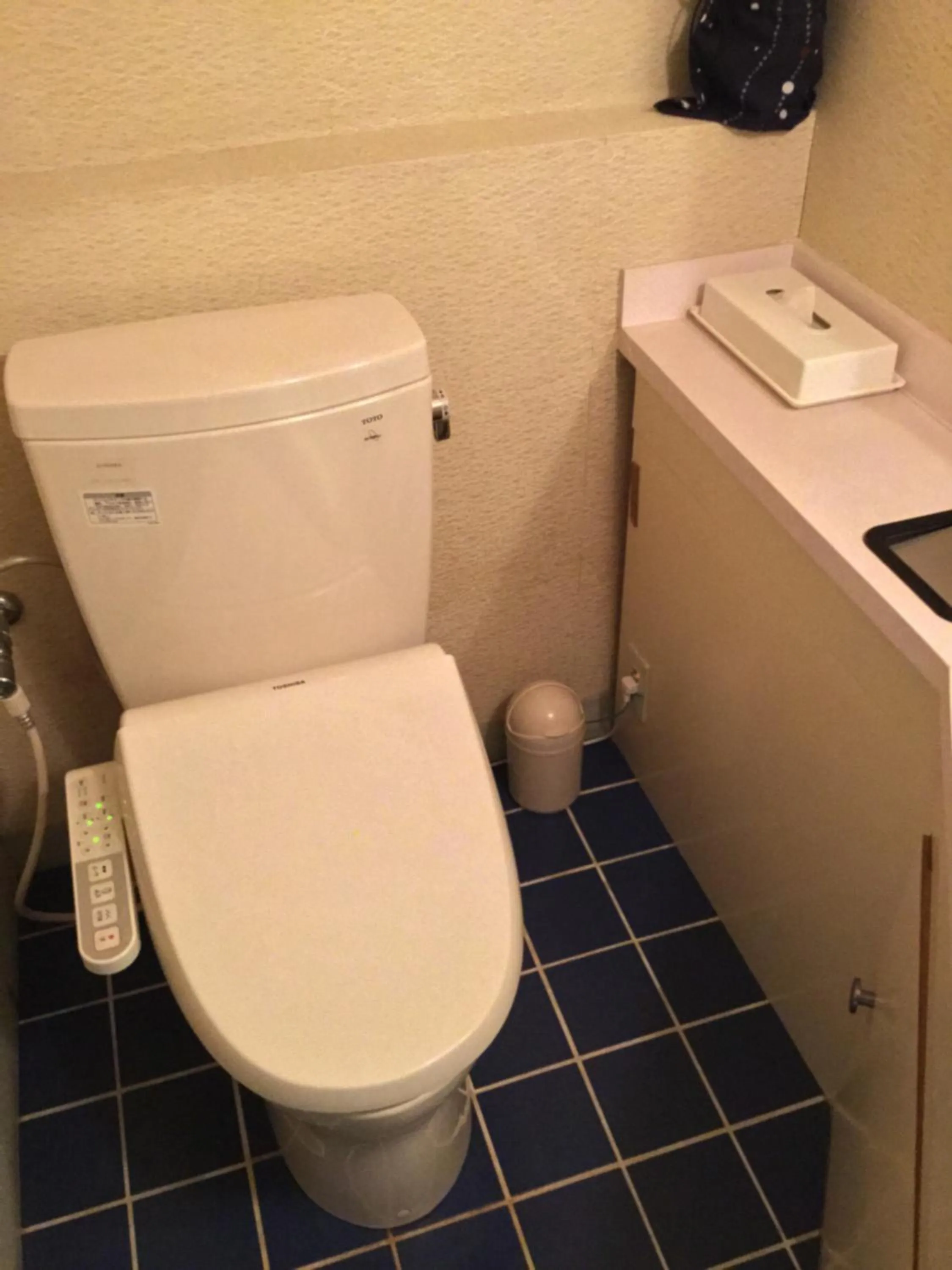Toilet in Kinugawa Park Hotels