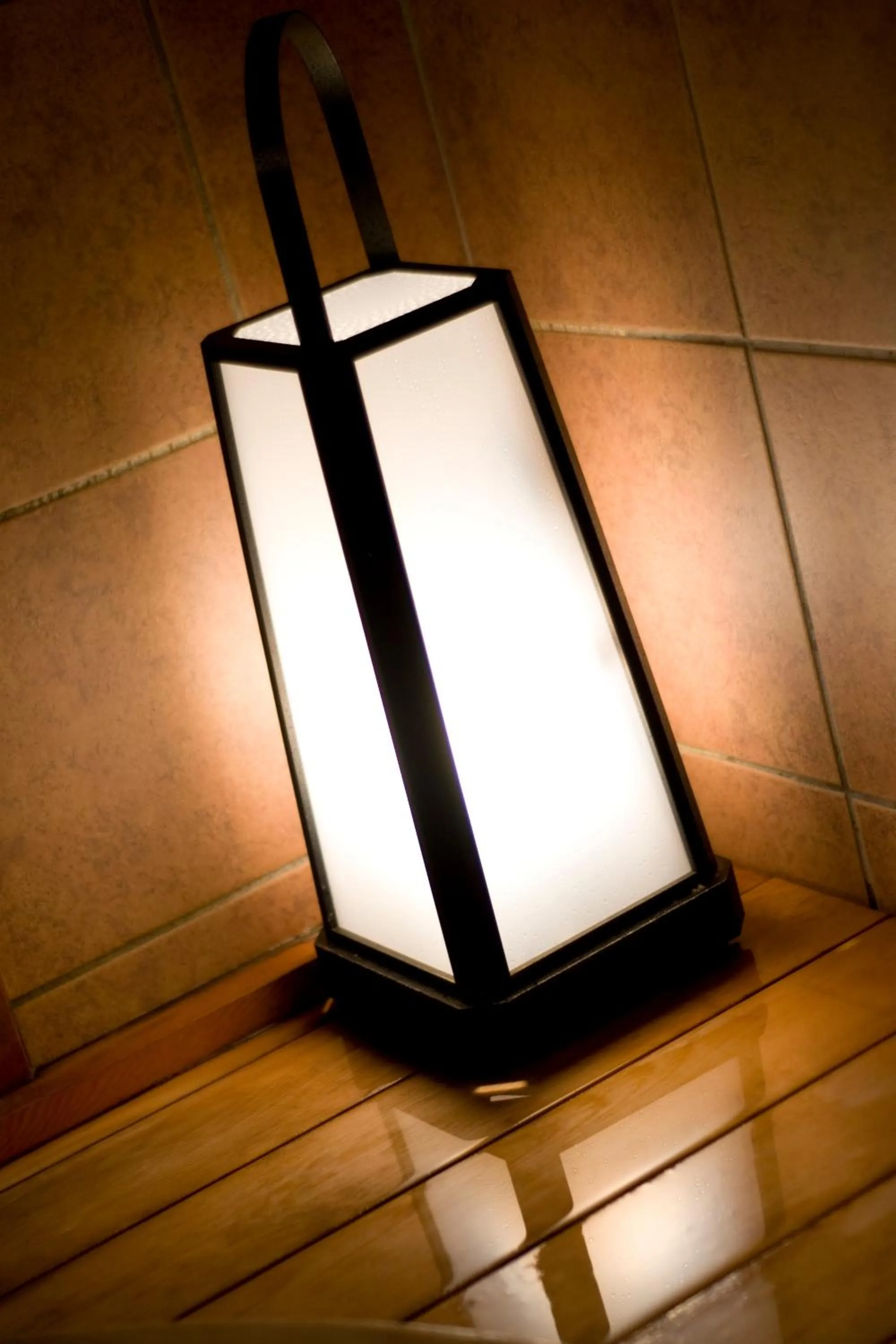 Other in Fuji Lake Hotel