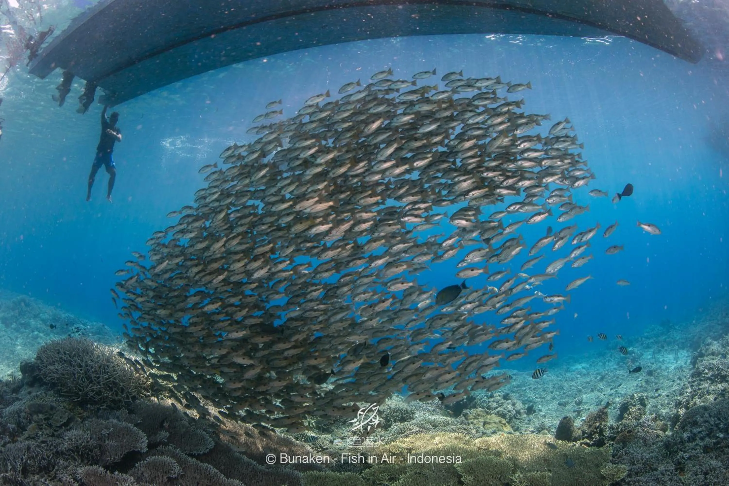 Activities in The Village Bunaken