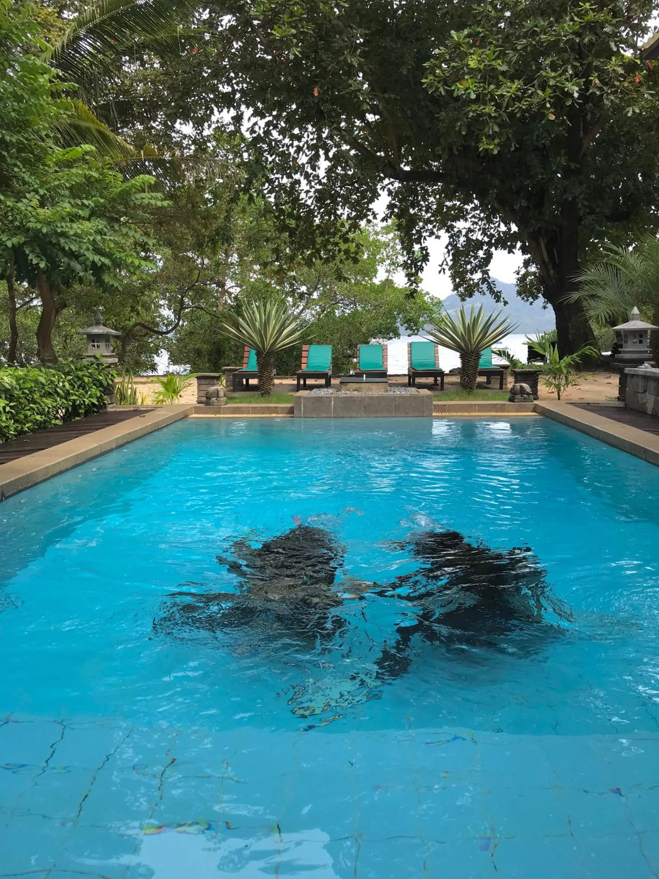 Diving in The Village Bunaken