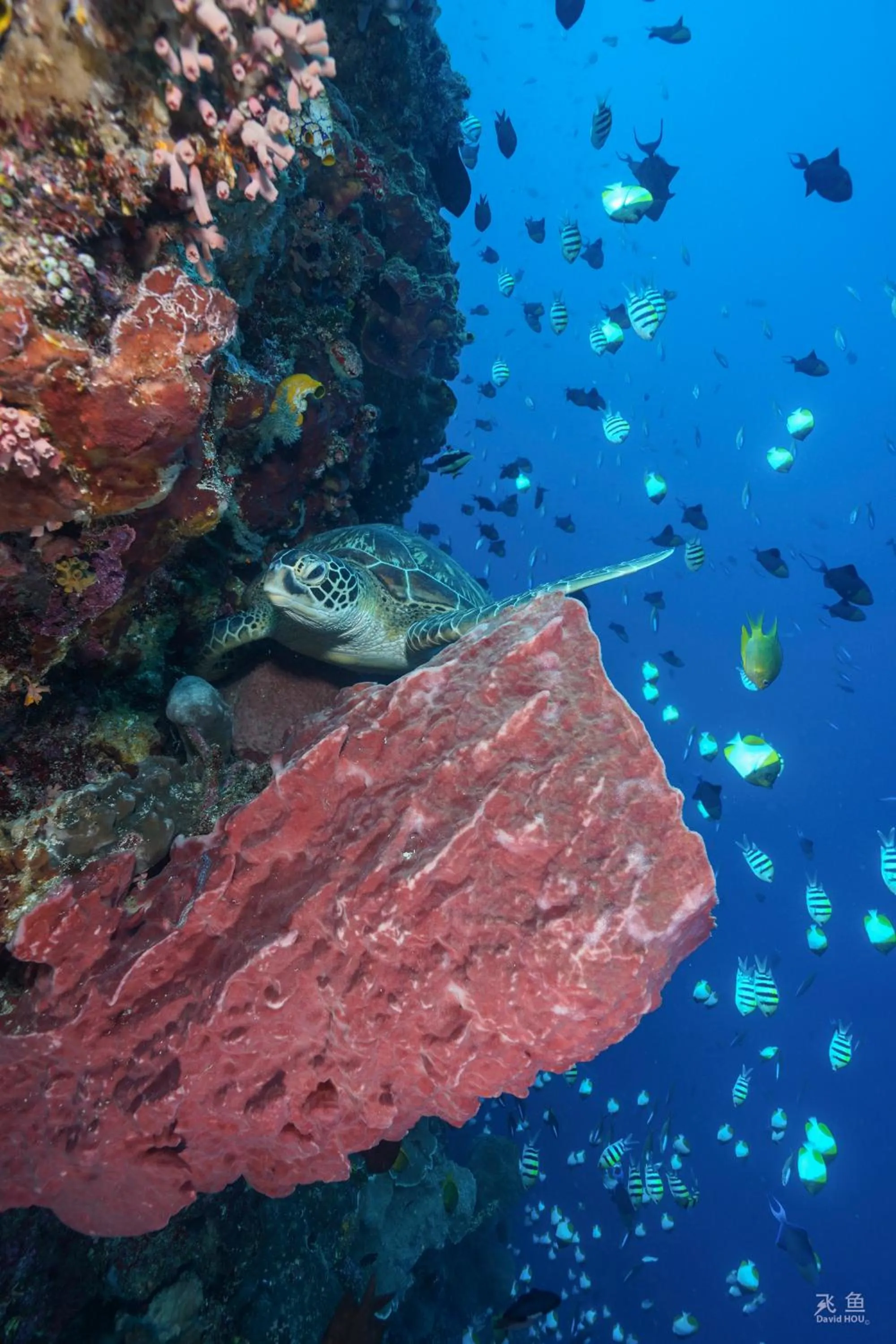 Activities in The Village Bunaken