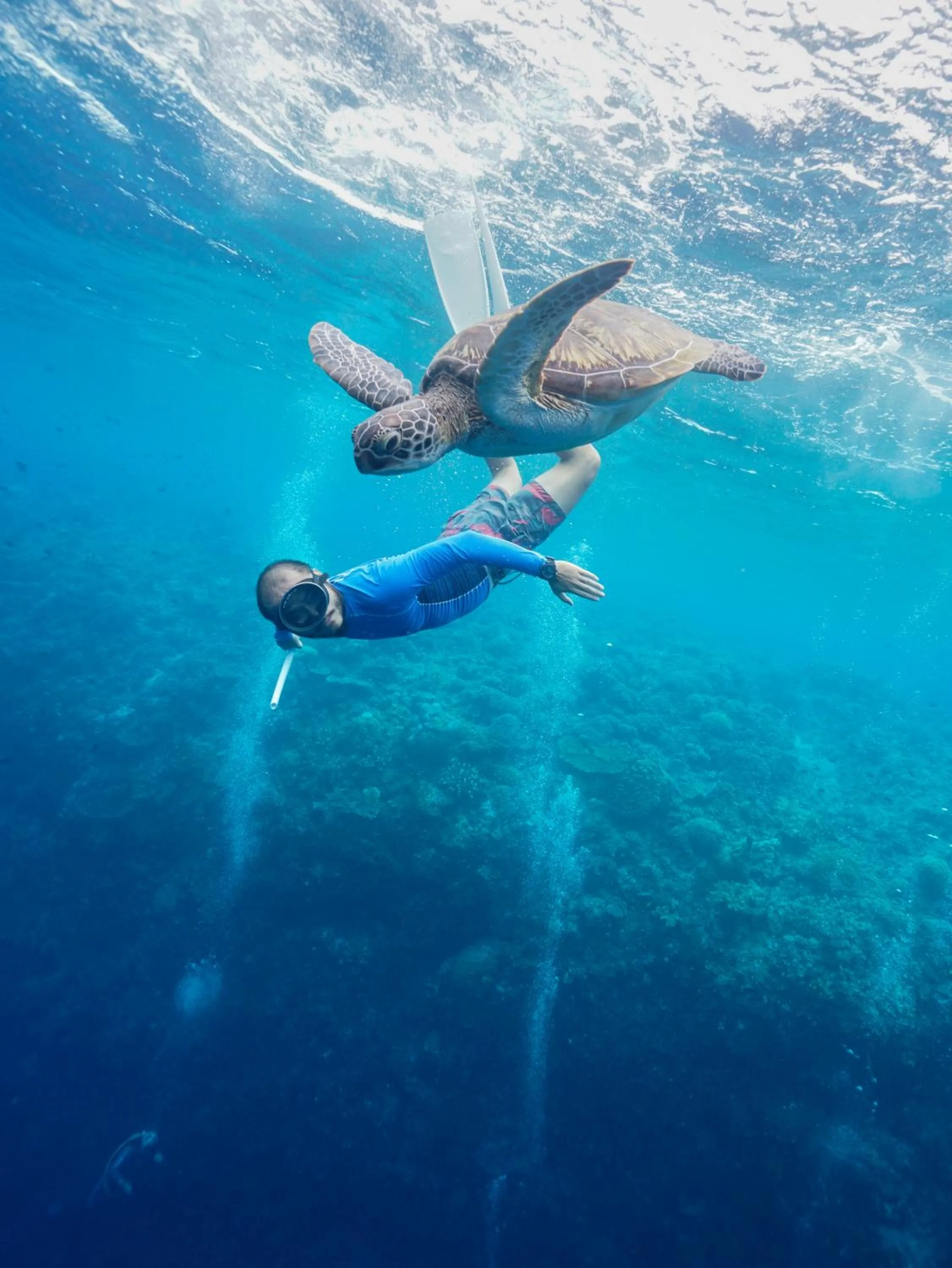 Activities in The Village Bunaken