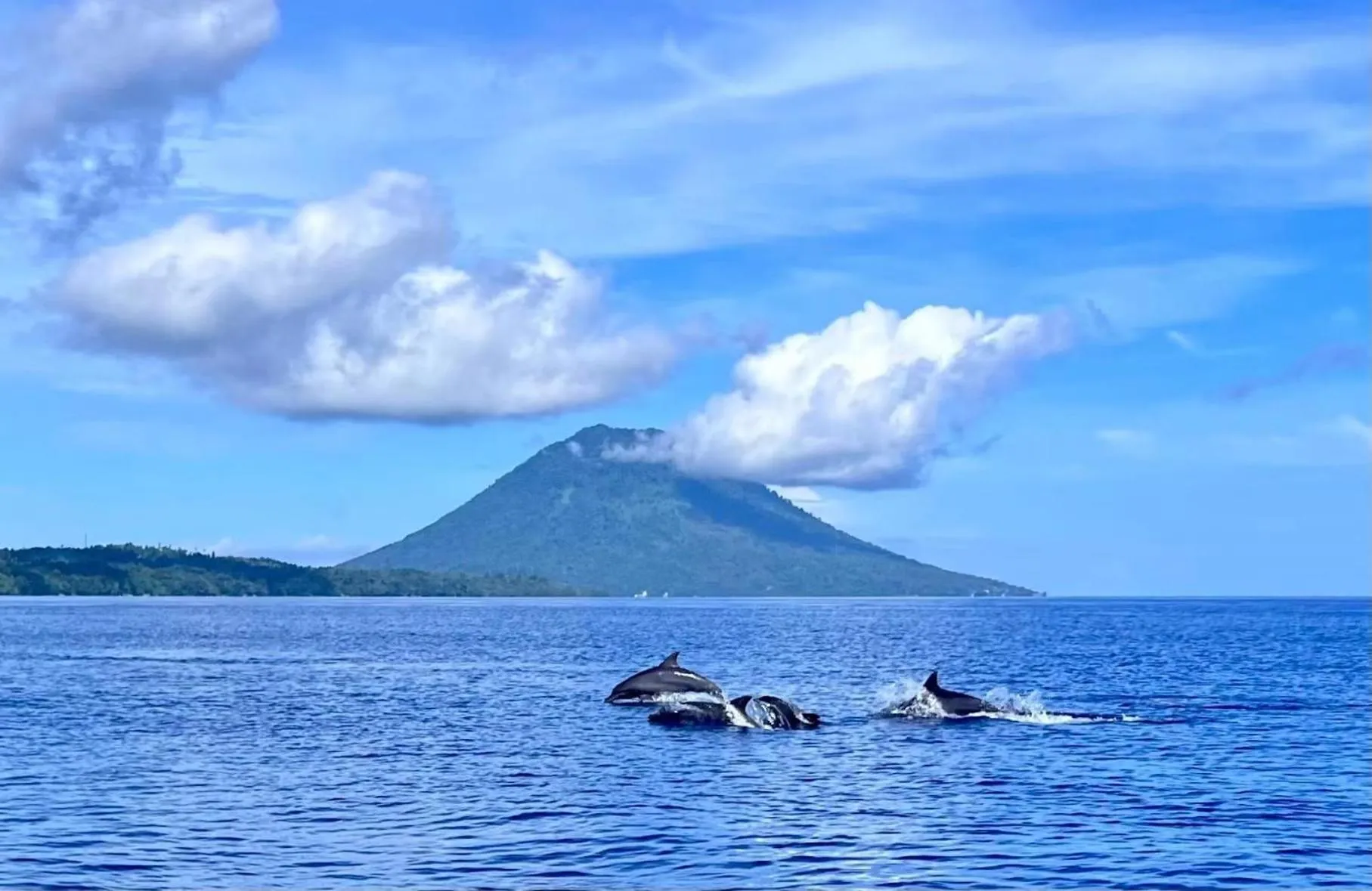 Natural landscape in The Village Bunaken