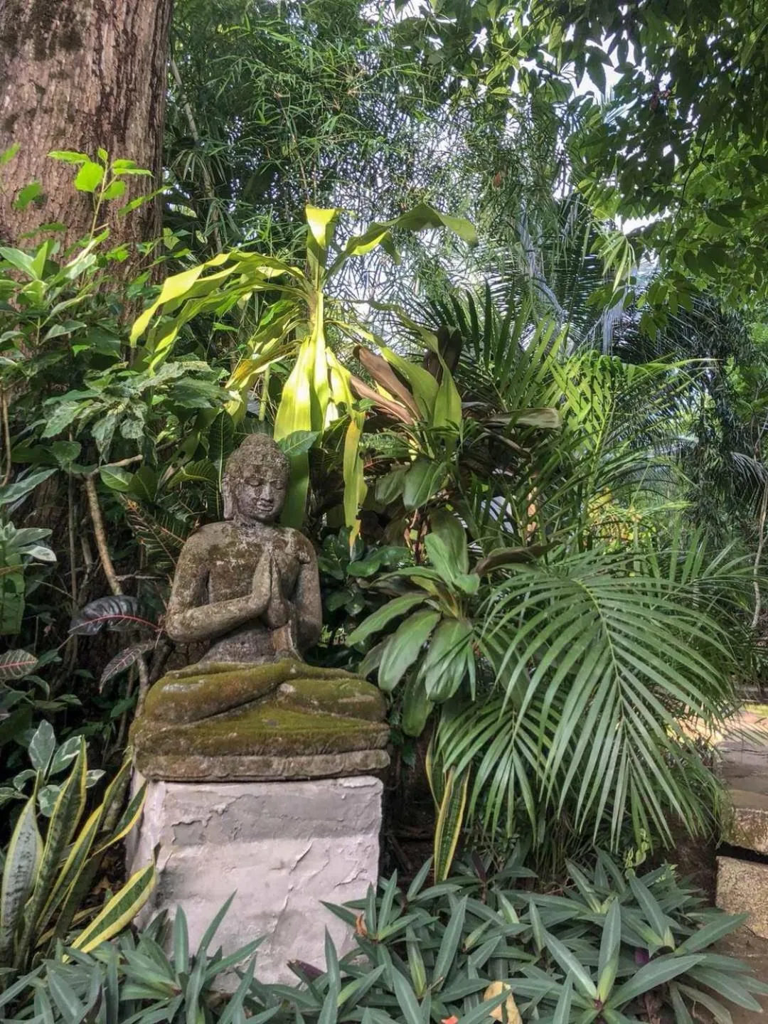 Garden in The Village Bunaken