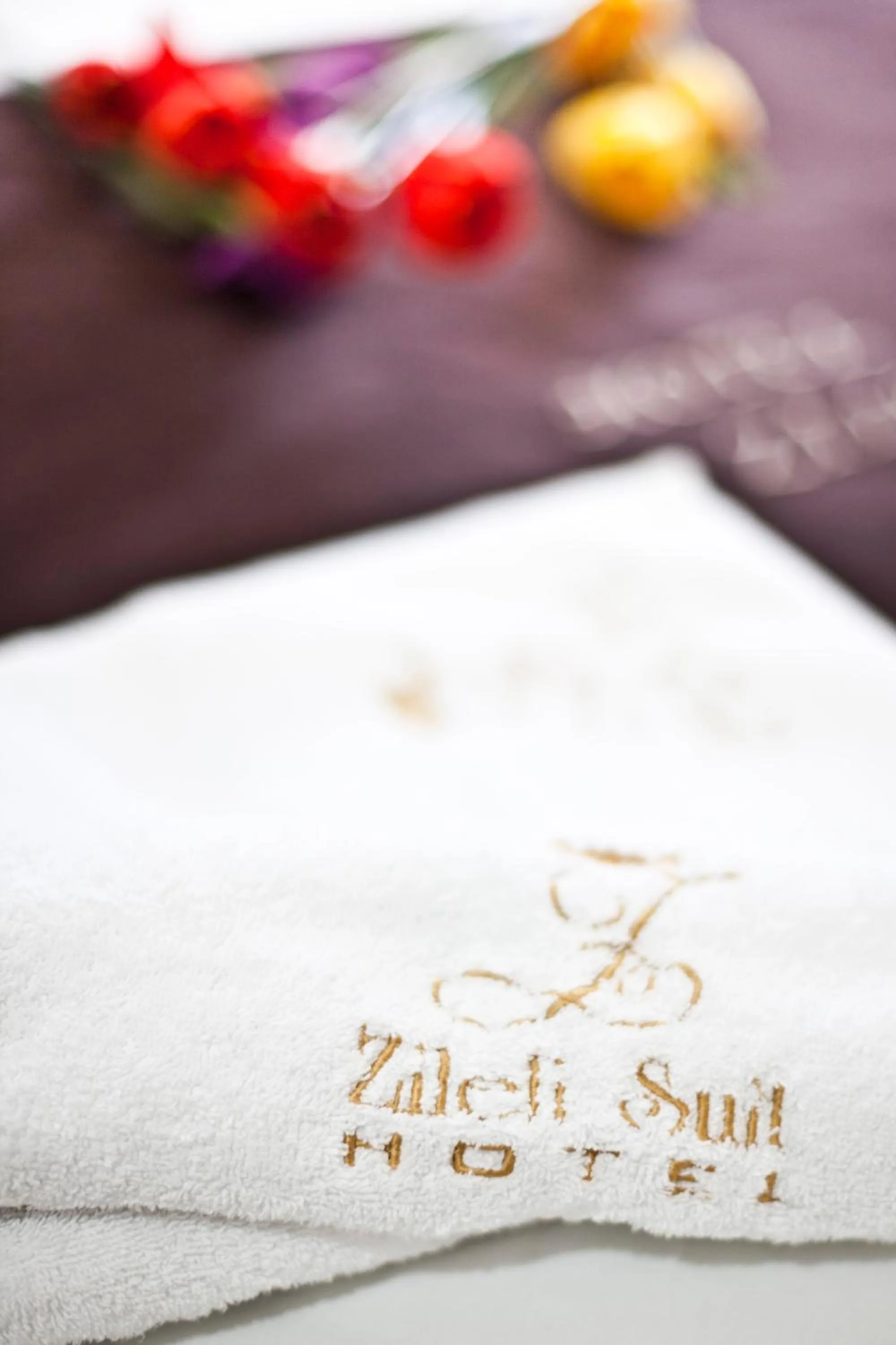 Decorative detail in Hotel Zileli