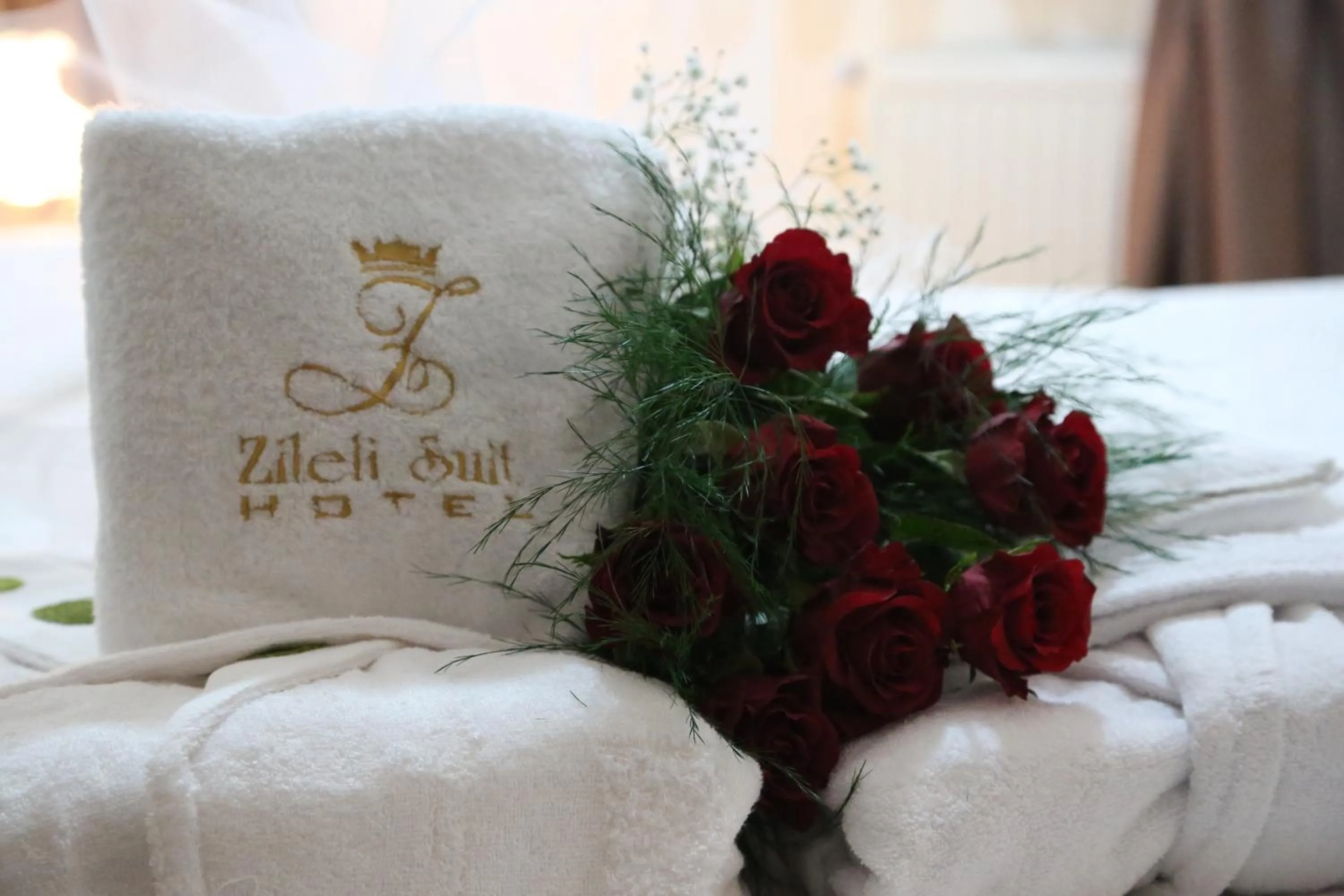 Other in Hotel Zileli