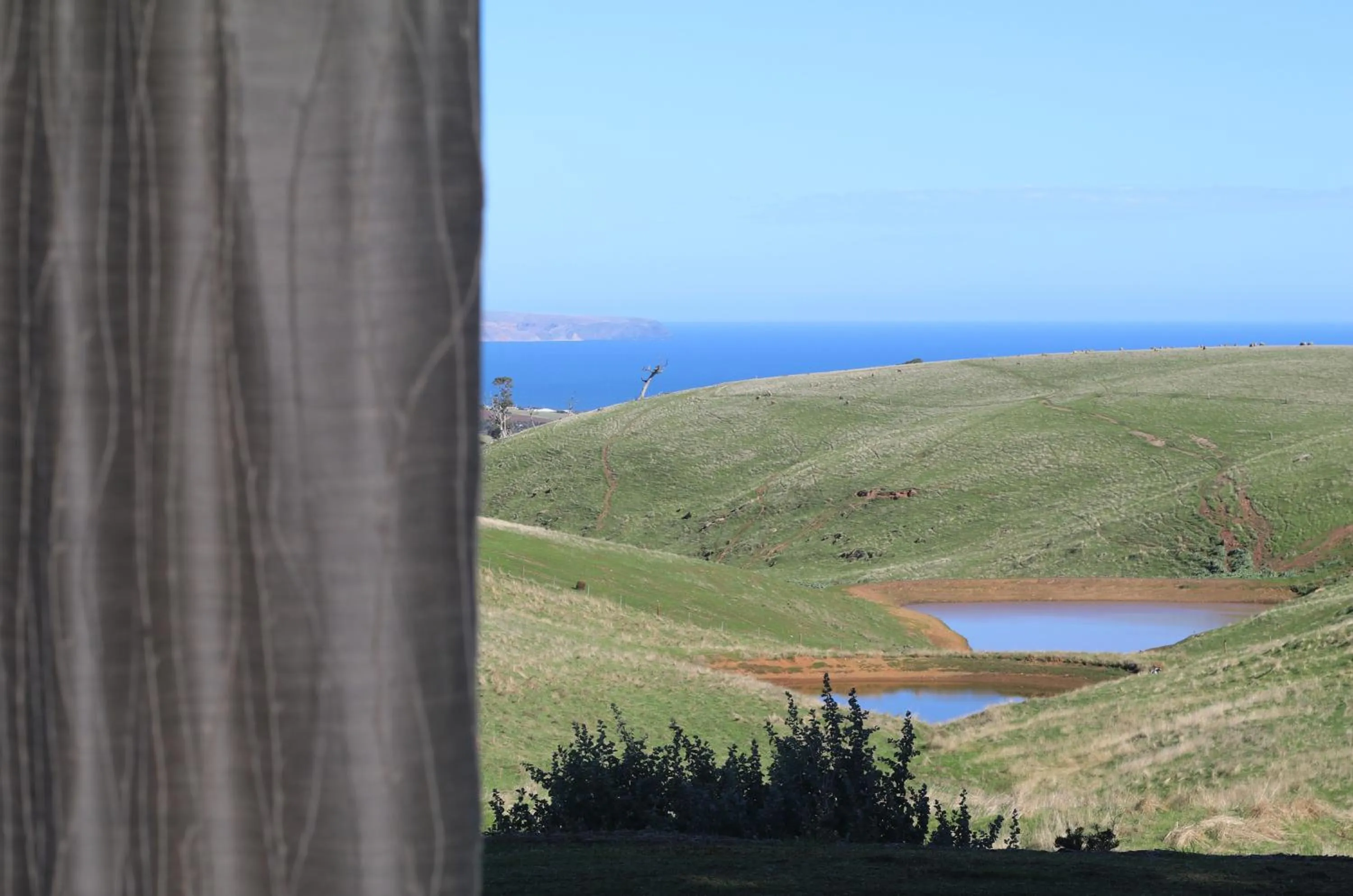 Sea view in Coastal Lodge