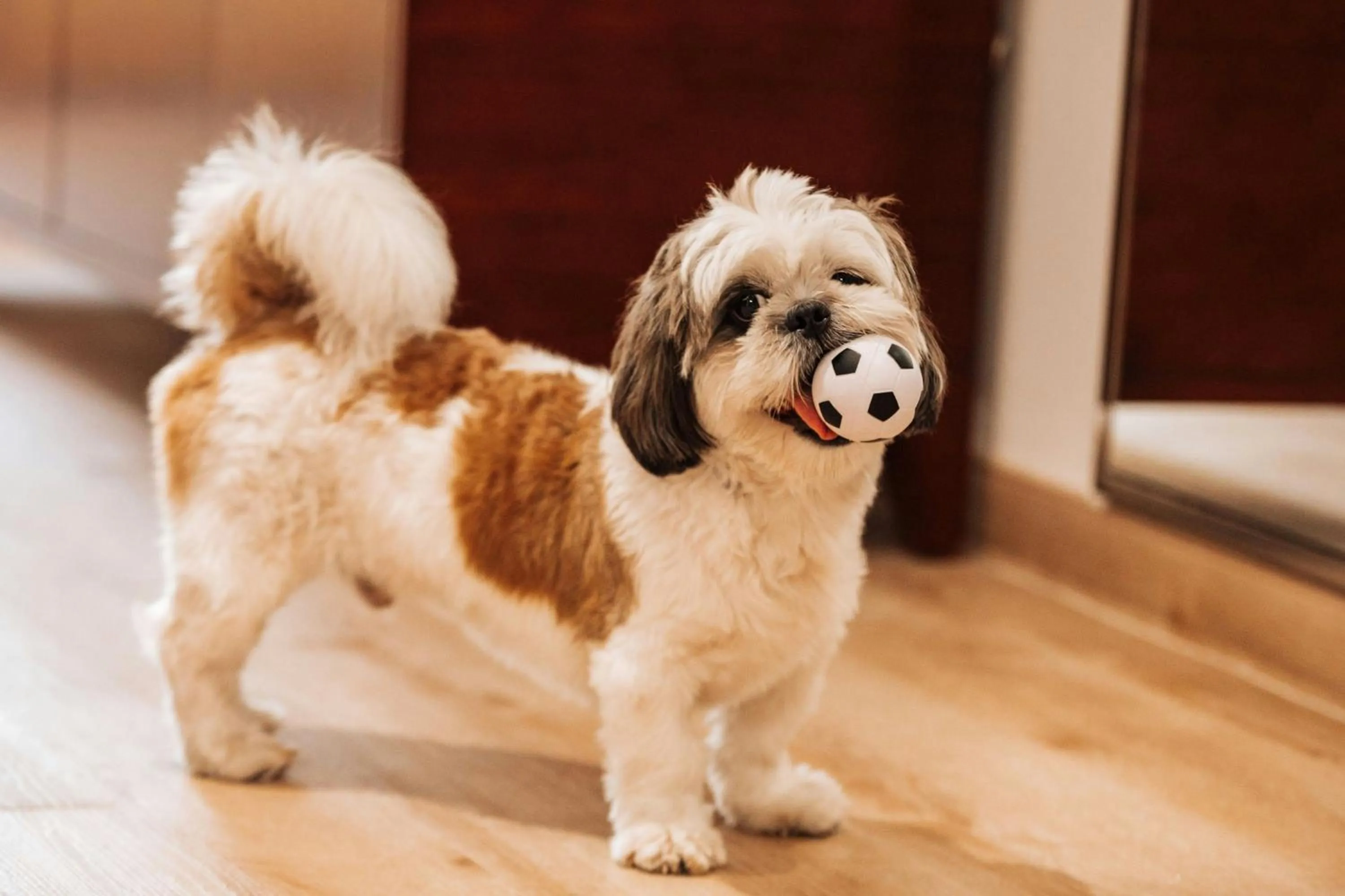 Other in Sheraton The Walk, Dubai