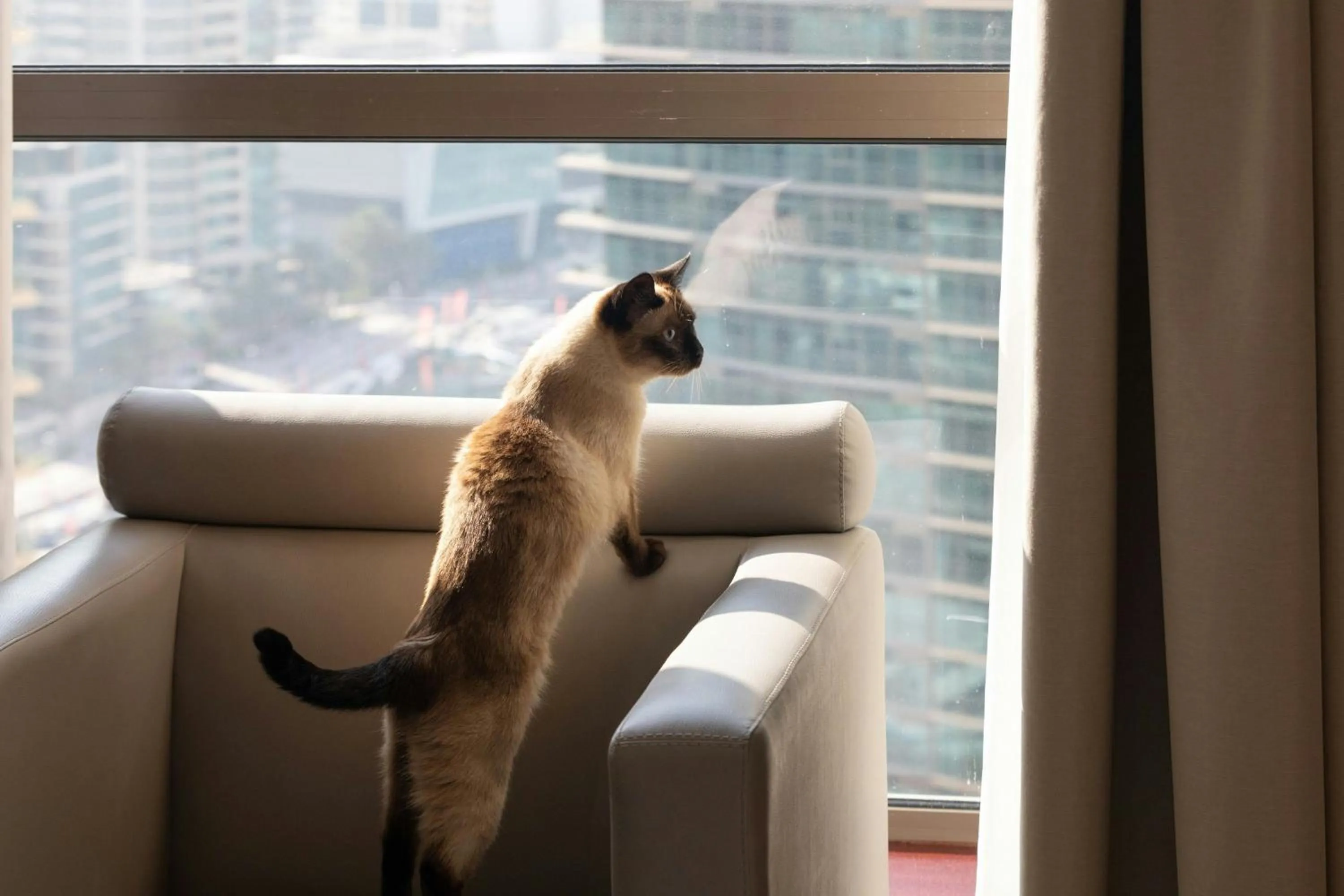 Other in Sheraton The Walk, Dubai