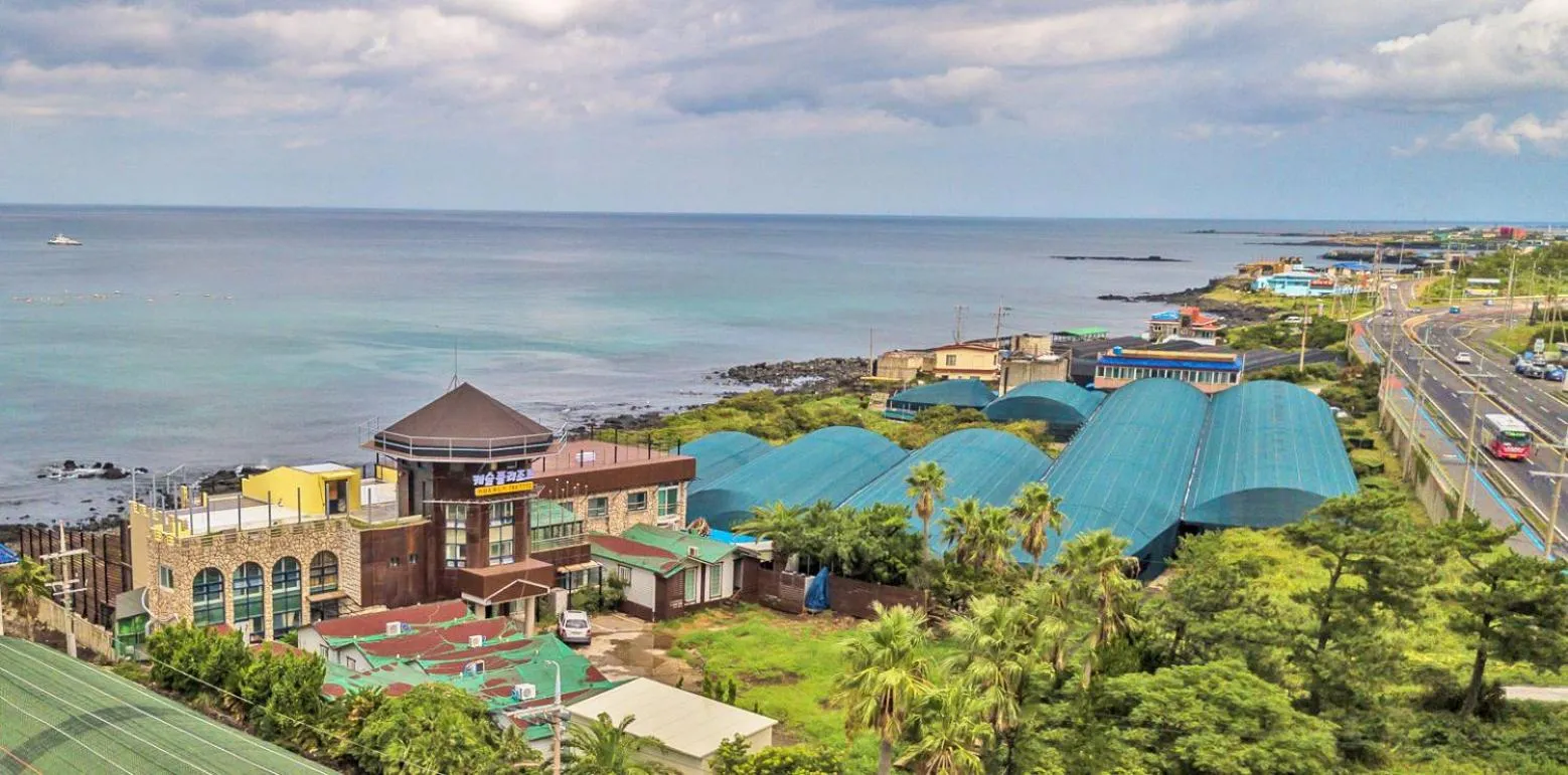 Beach, Bird's-eye View in Castle Pool Resort