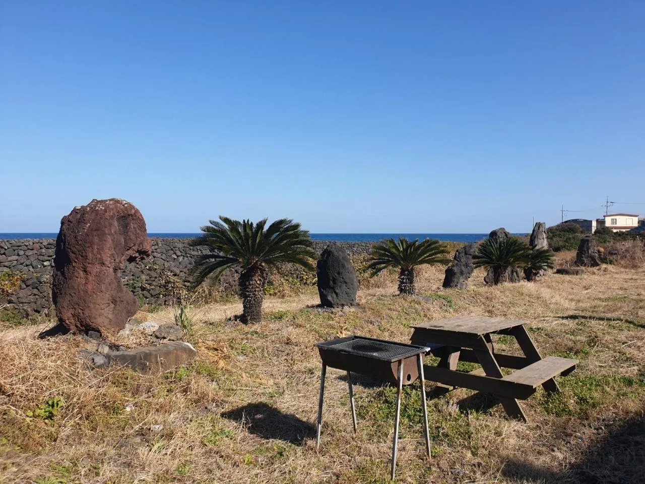 Natural landscape, Beach in Castle Pool Resort