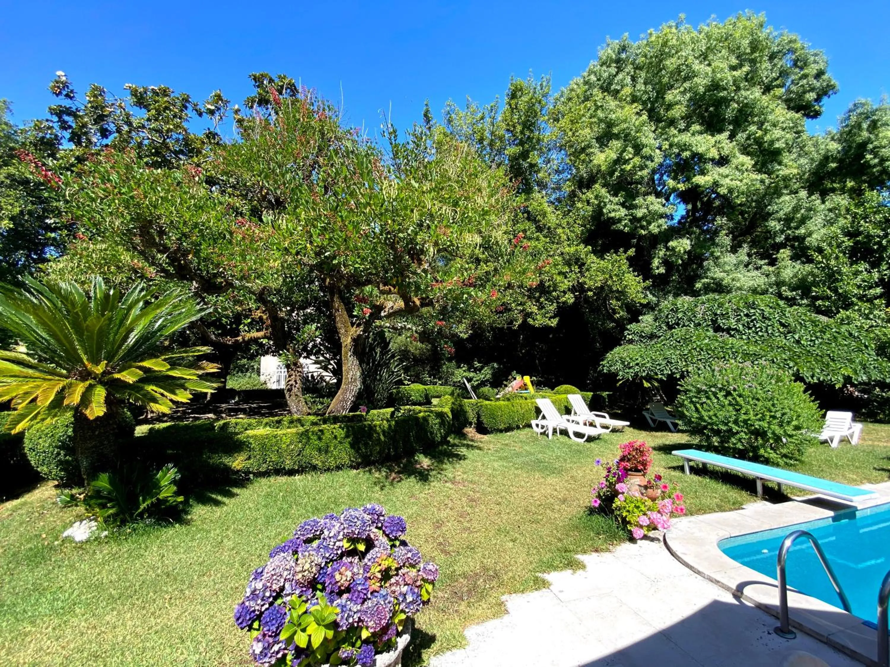 Garden in Vila Duparchy