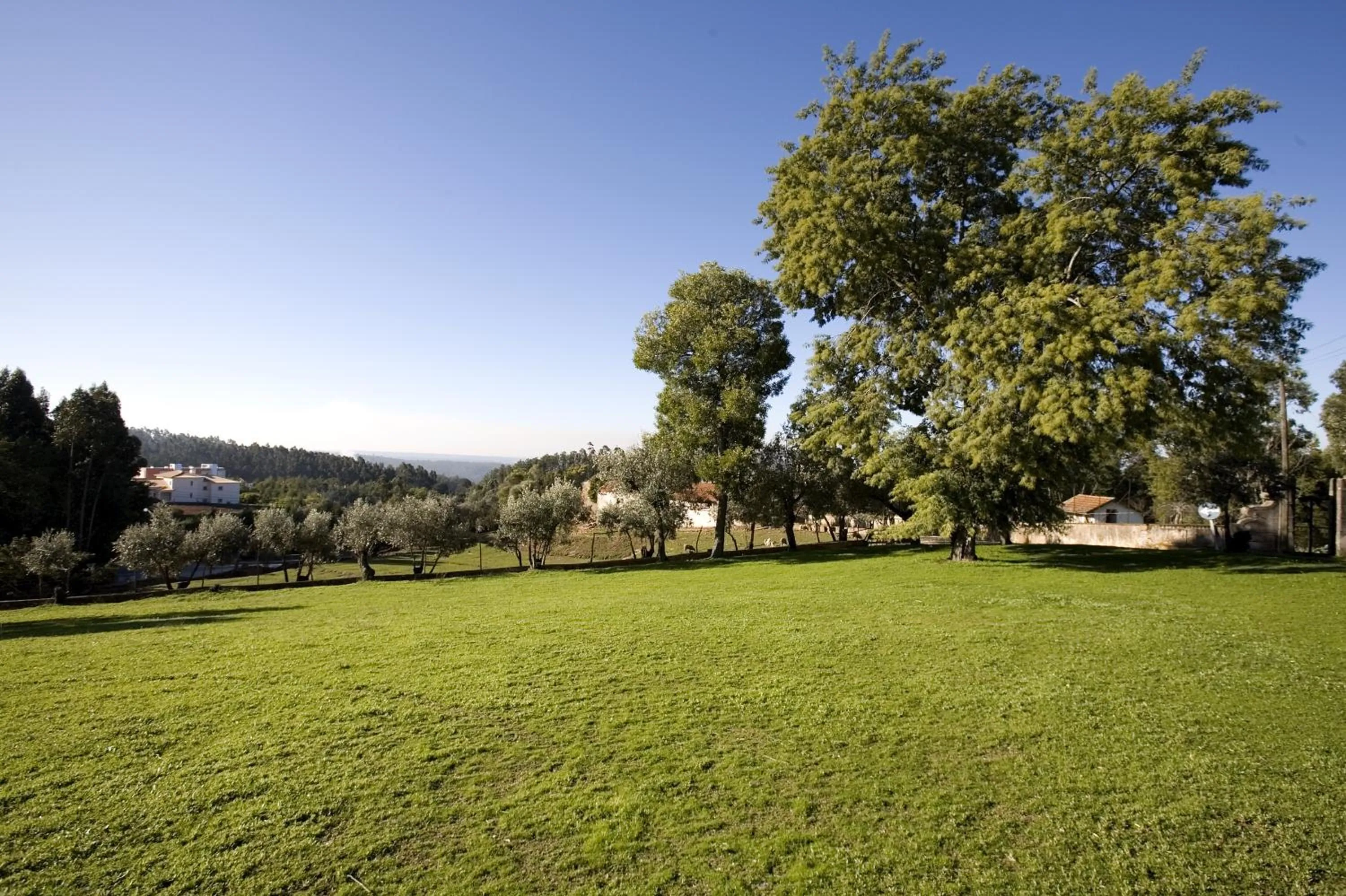 Garden in Vila Duparchy