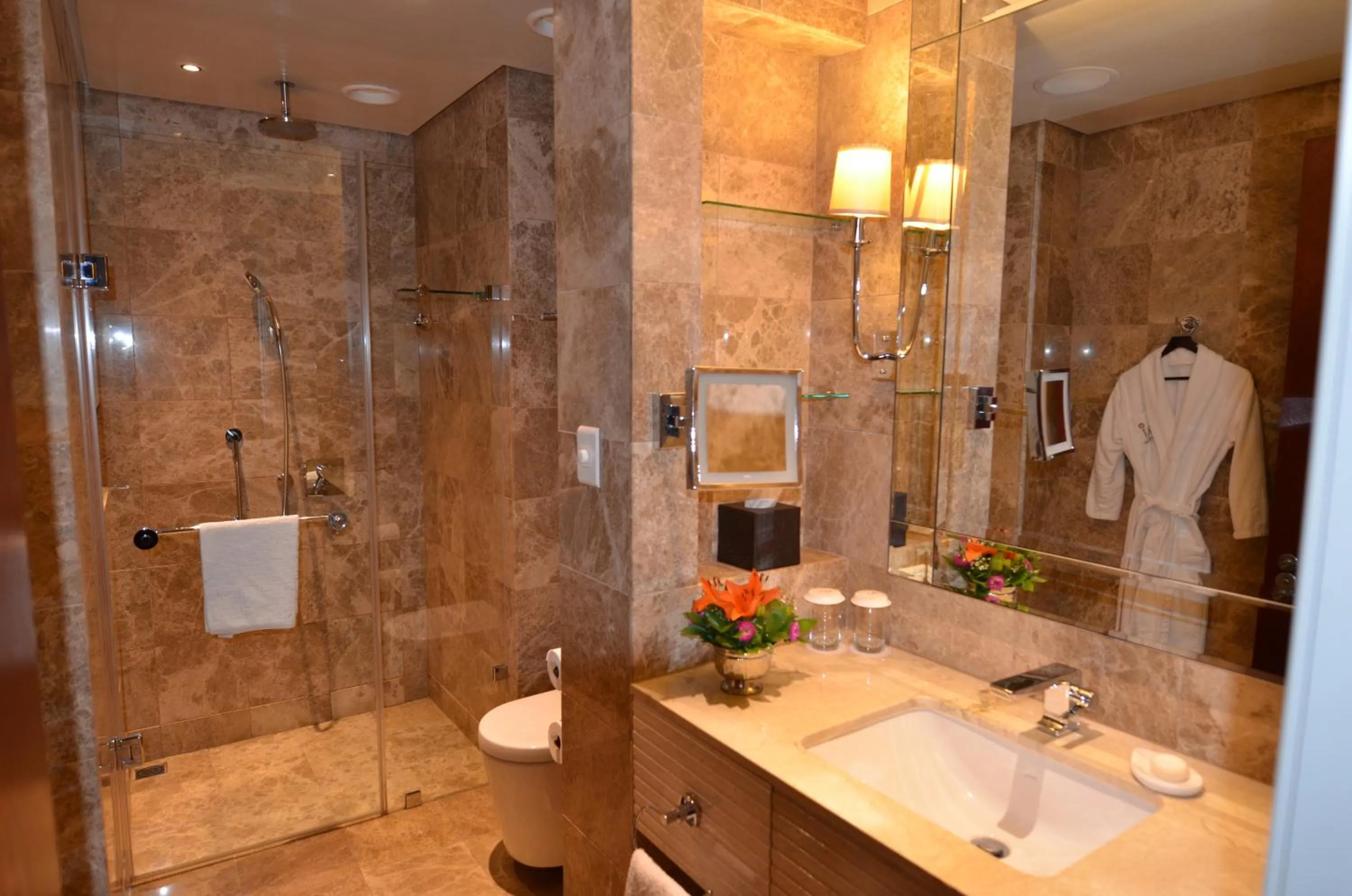 Shower in Taj Luxury Suite