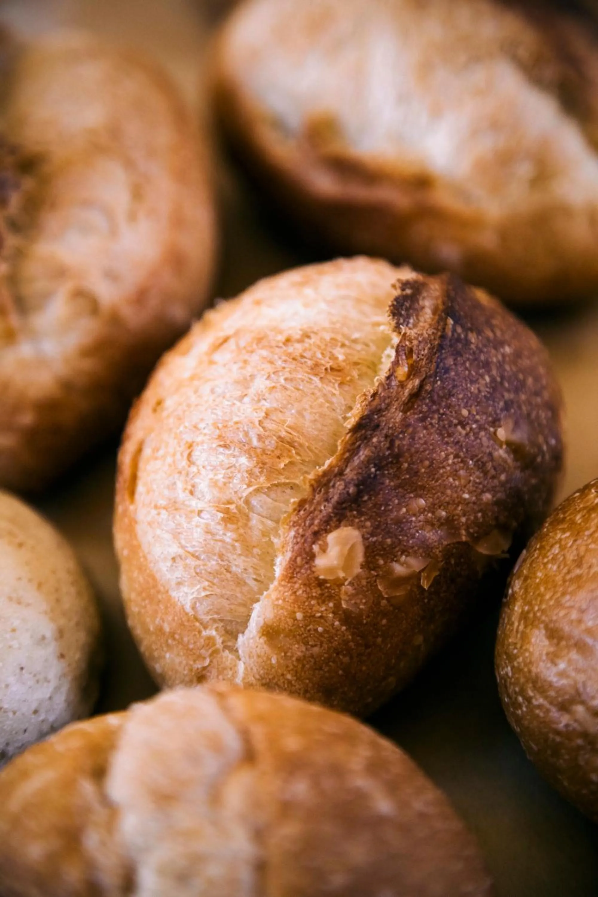 Food and drinks in Ise Guest House Kazami