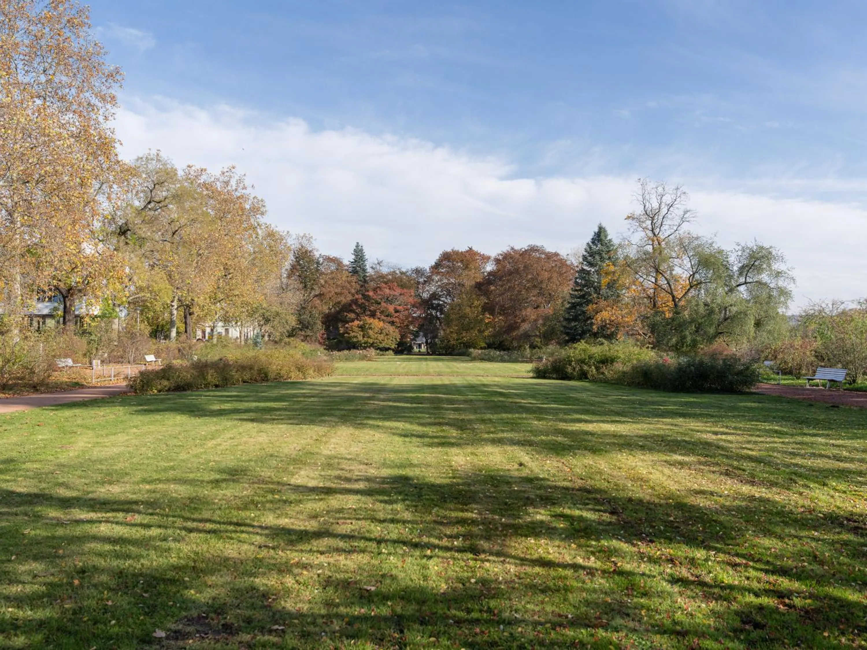 Day in Limehome Dresden Hoyerswerdaerstraße