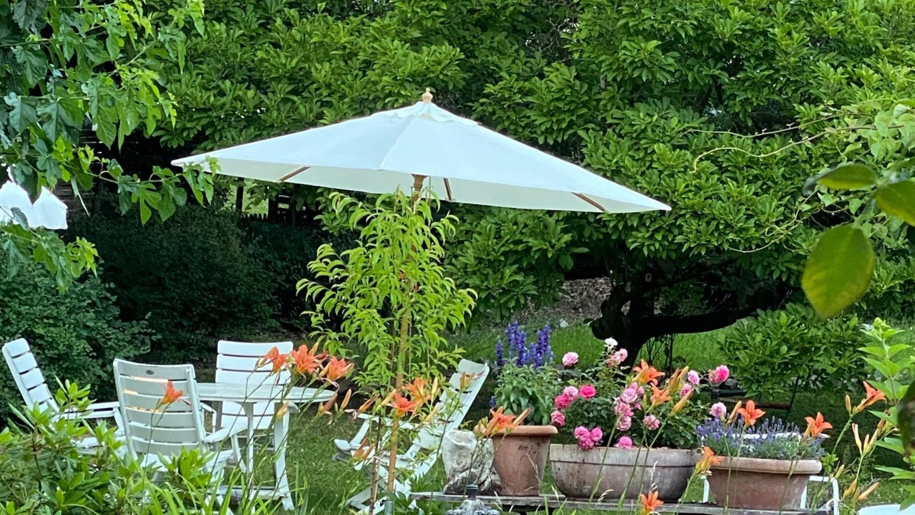Villa zur Erholung Bed & Breakfast