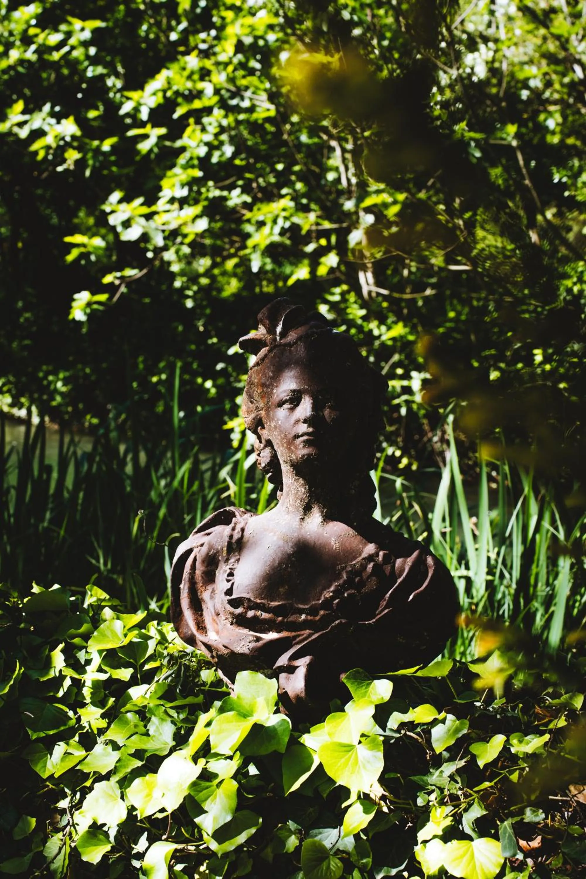 Natural landscape in Bastide Rose