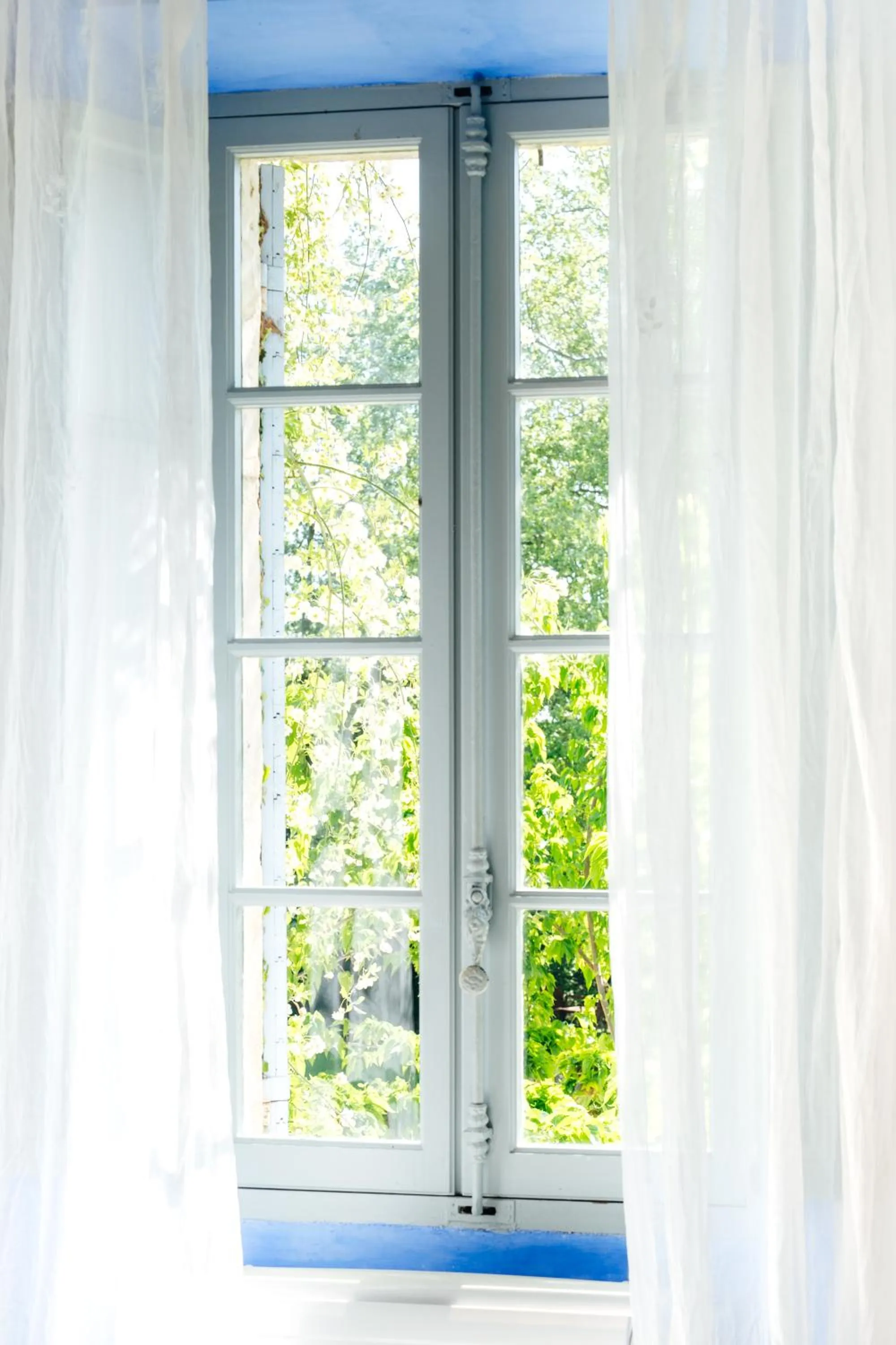 Garden view in Bastide Rose