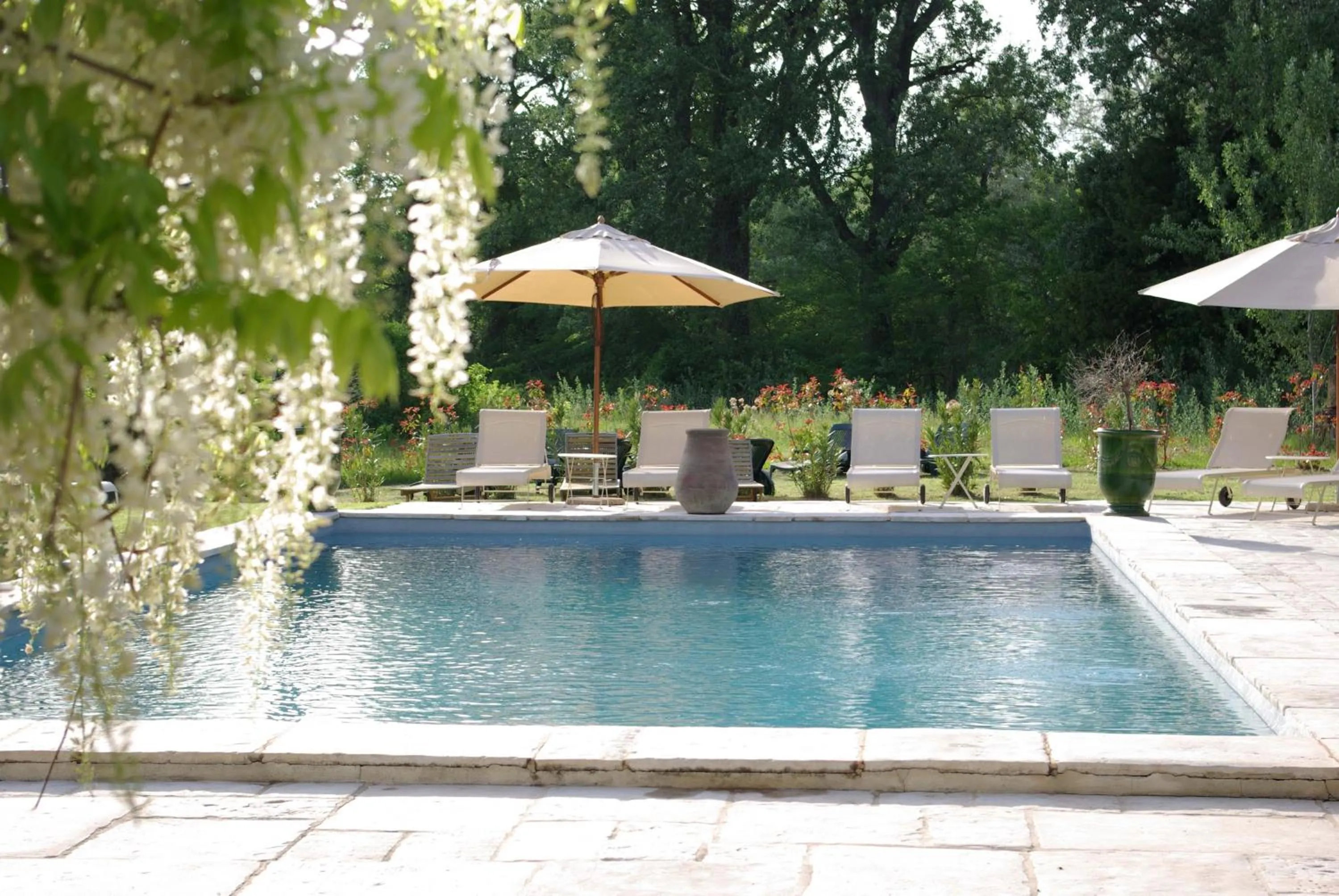 Natural landscape in Bastide Rose