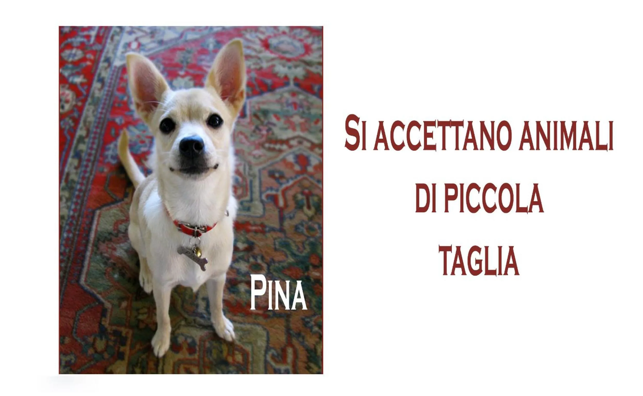 Text overlay in Hotel Ariston