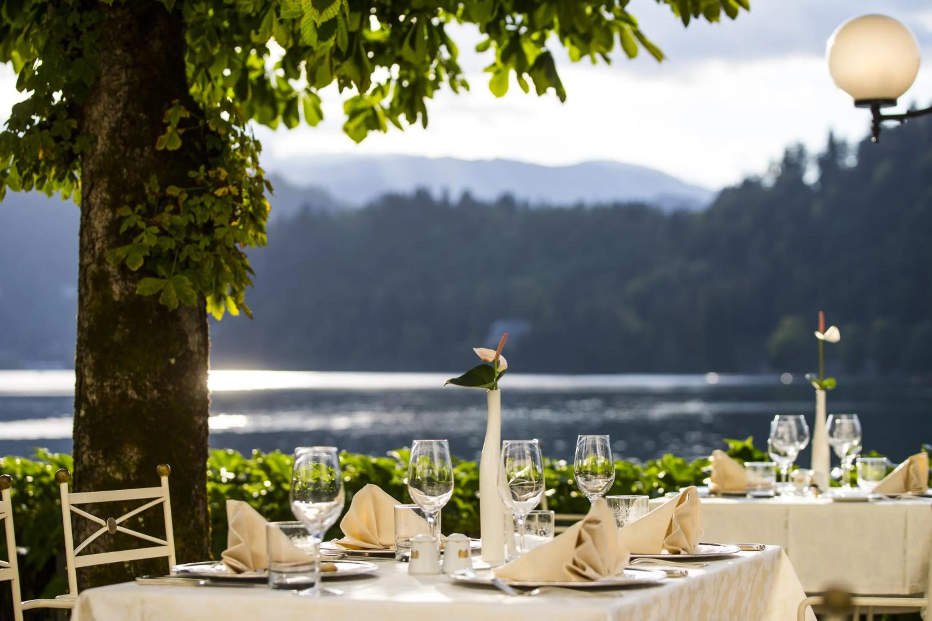 Restaurant/places to eat in Grand Hotel Toplice - Small Luxury Hotels of the World