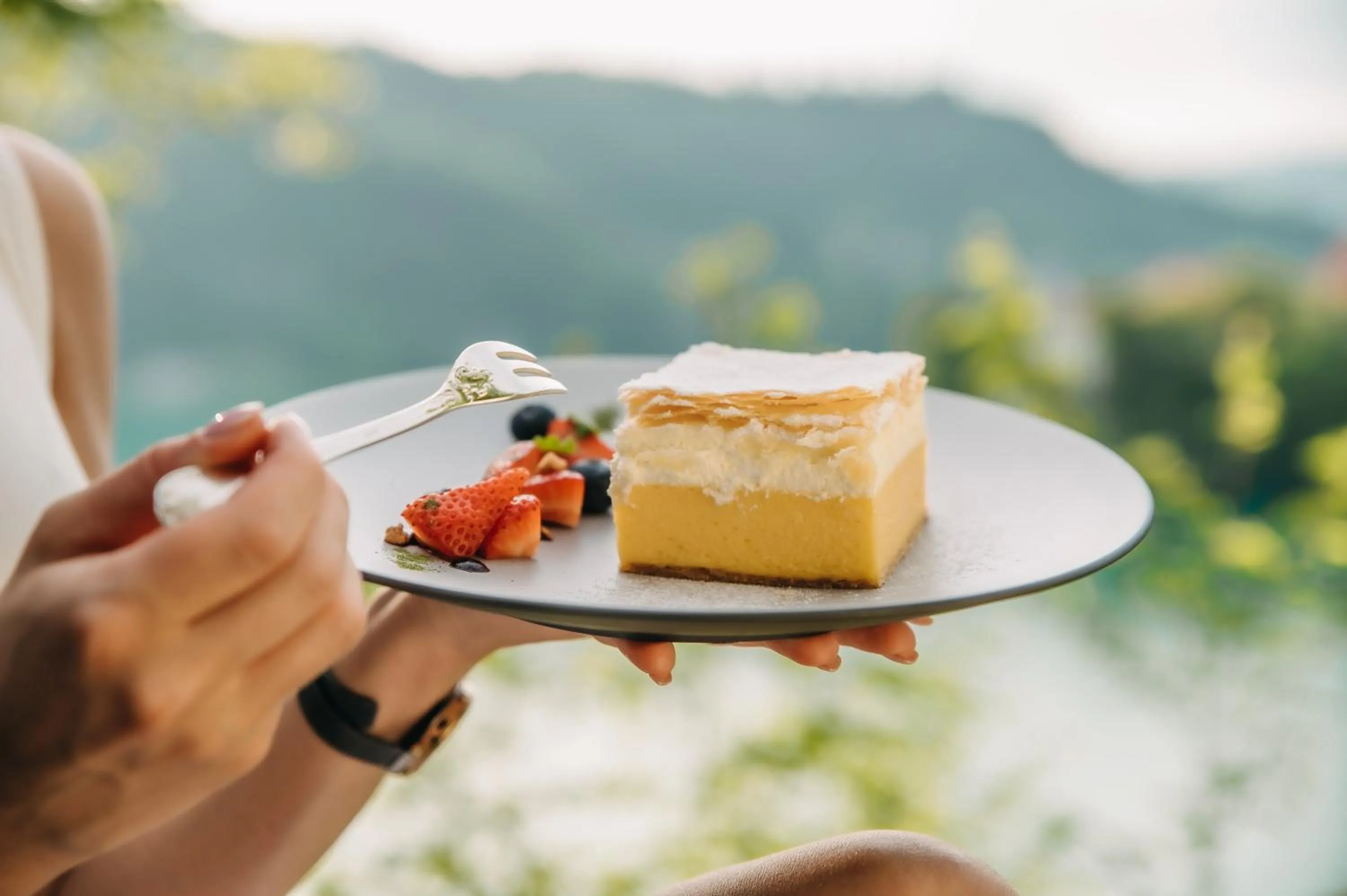 Food and drinks in Vila Bled