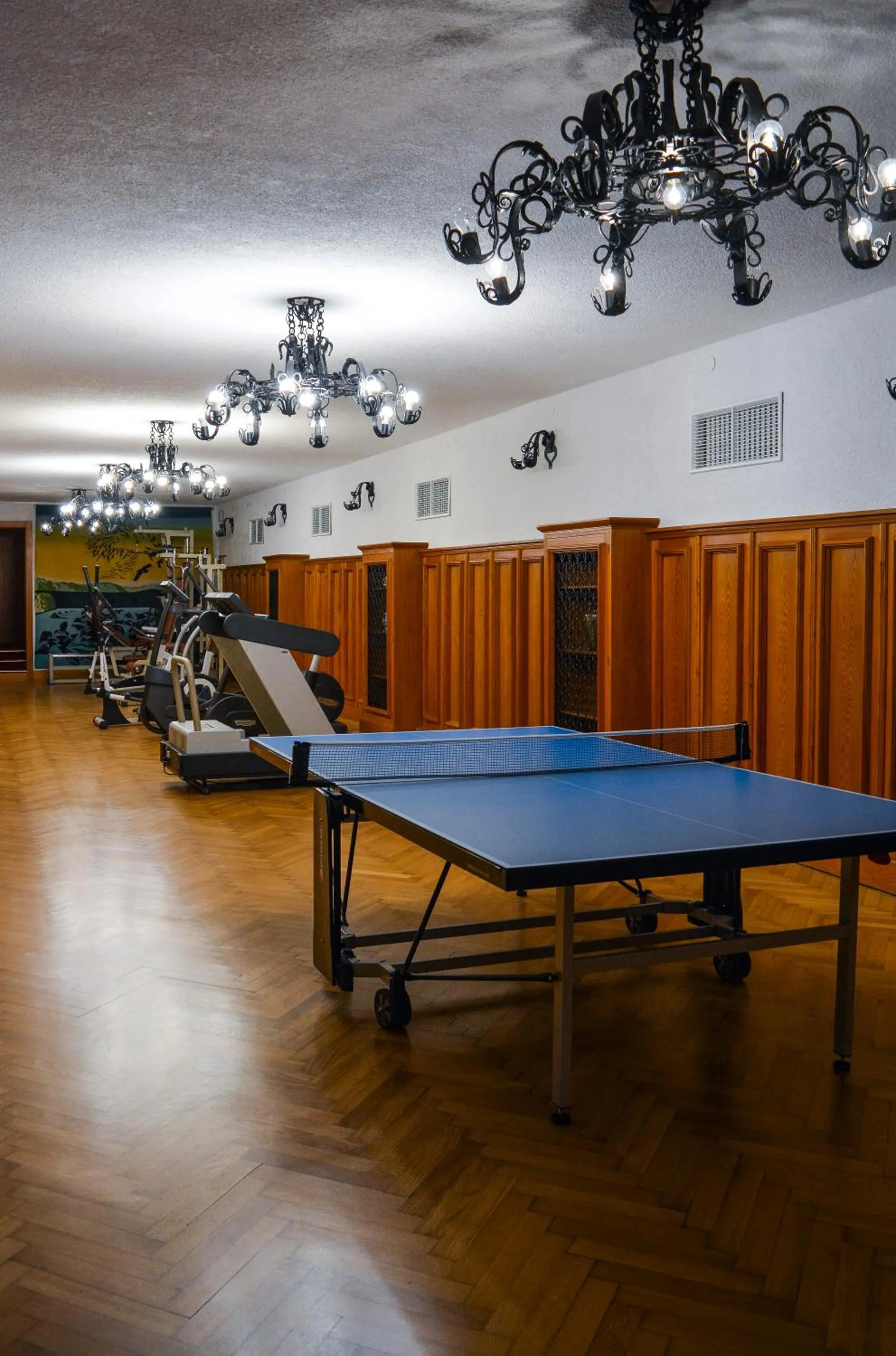 Table tennis in Vila Bled