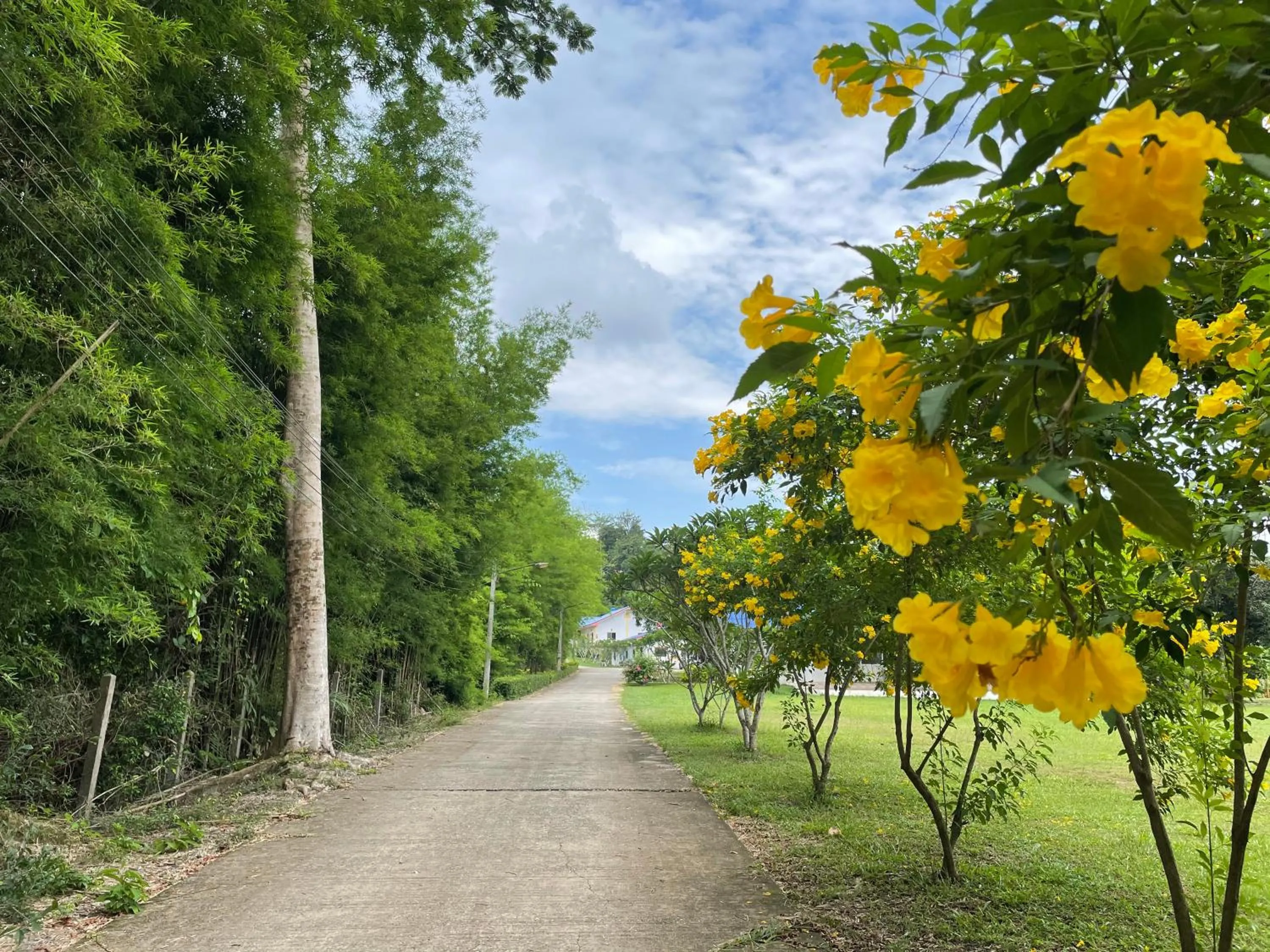 Quiet street view in นาหินลาดรีสอร์ท Nahinlad Resort