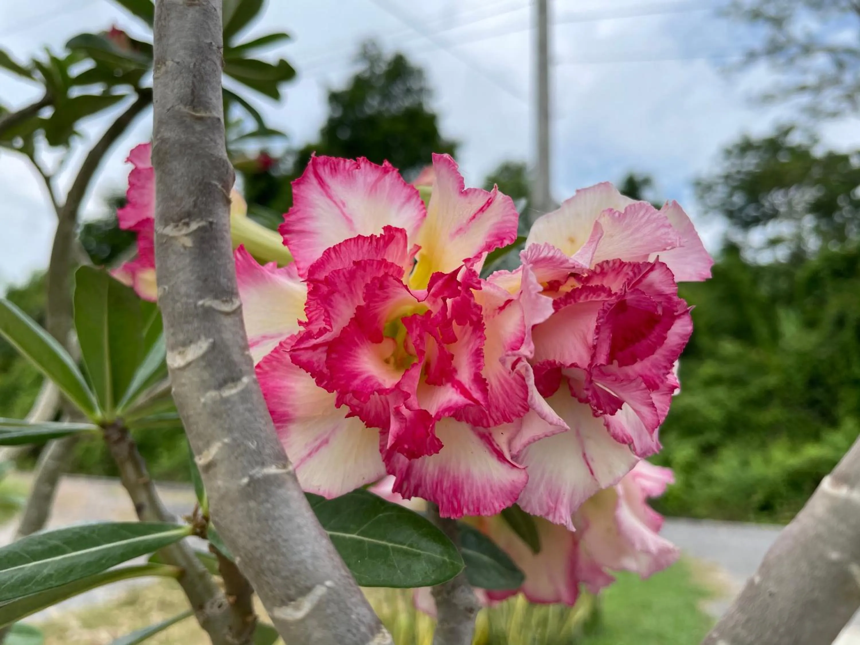 Natural landscape in นาหินลาดรีสอร์ท Nahinlad Resort