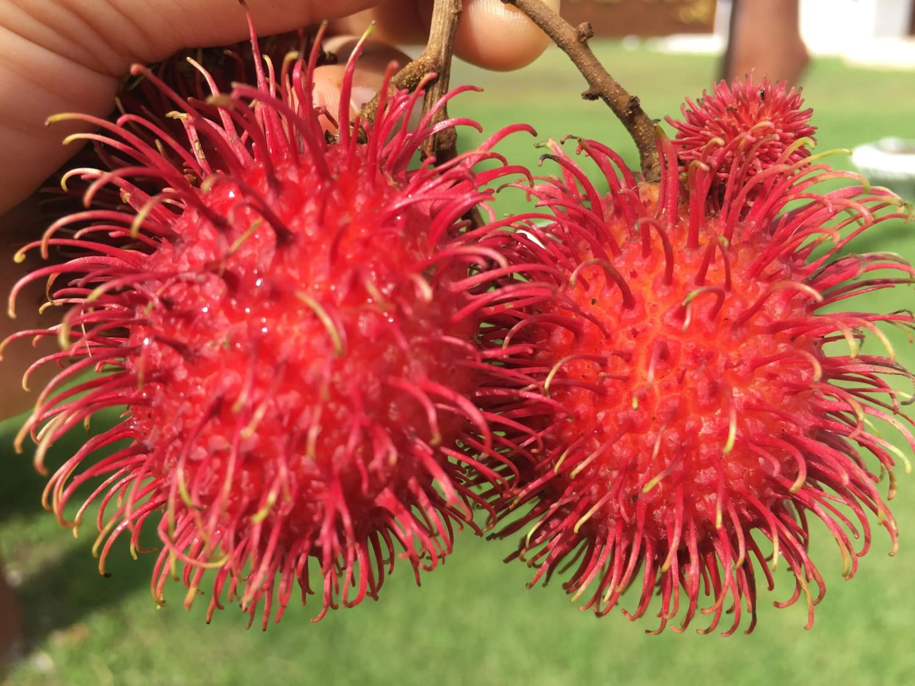 On site in นาหินลาดรีสอร์ท Nahinlad Resort