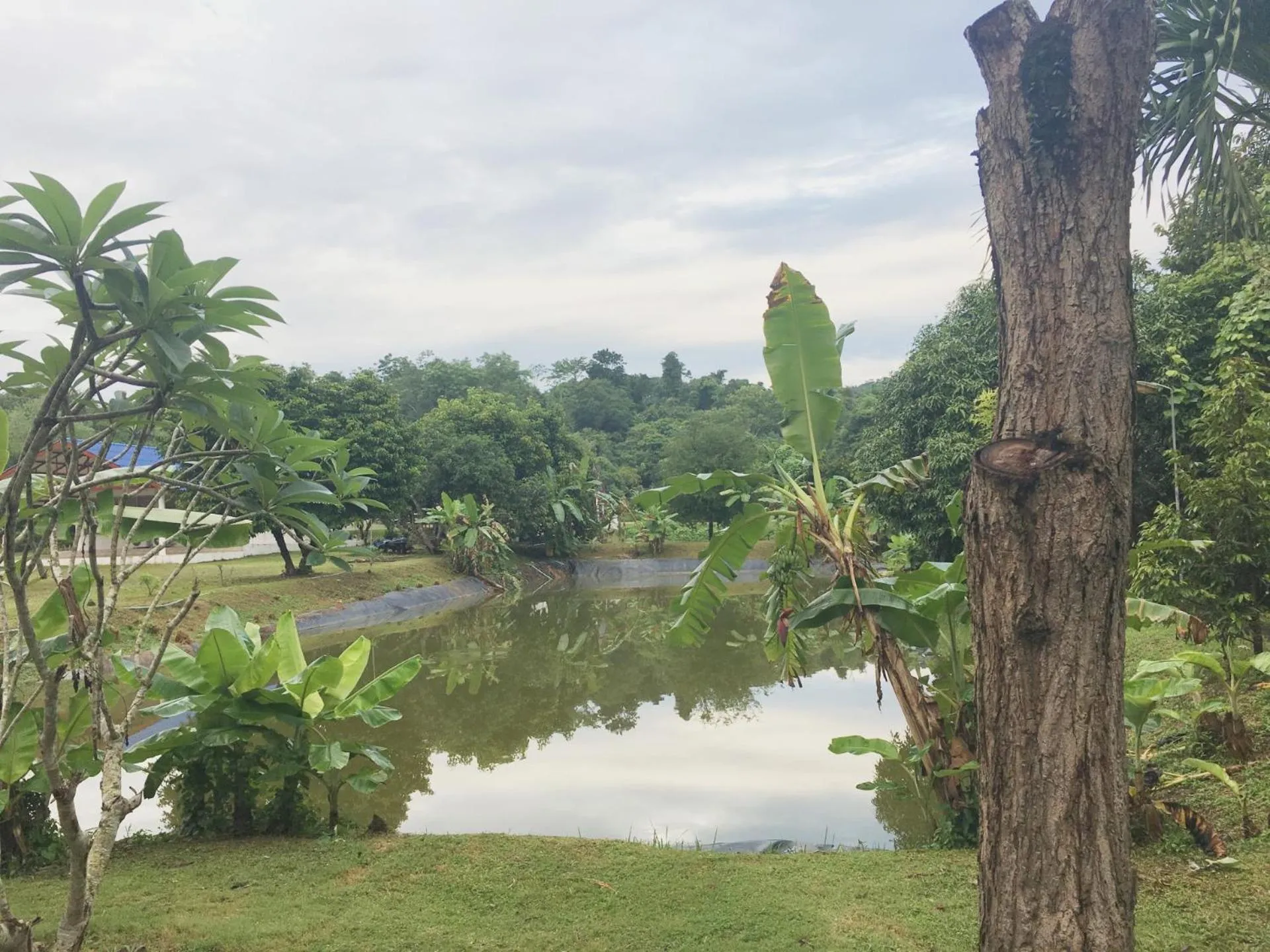 Natural landscape in นาหินลาดรีสอร์ท Nahinlad Resort