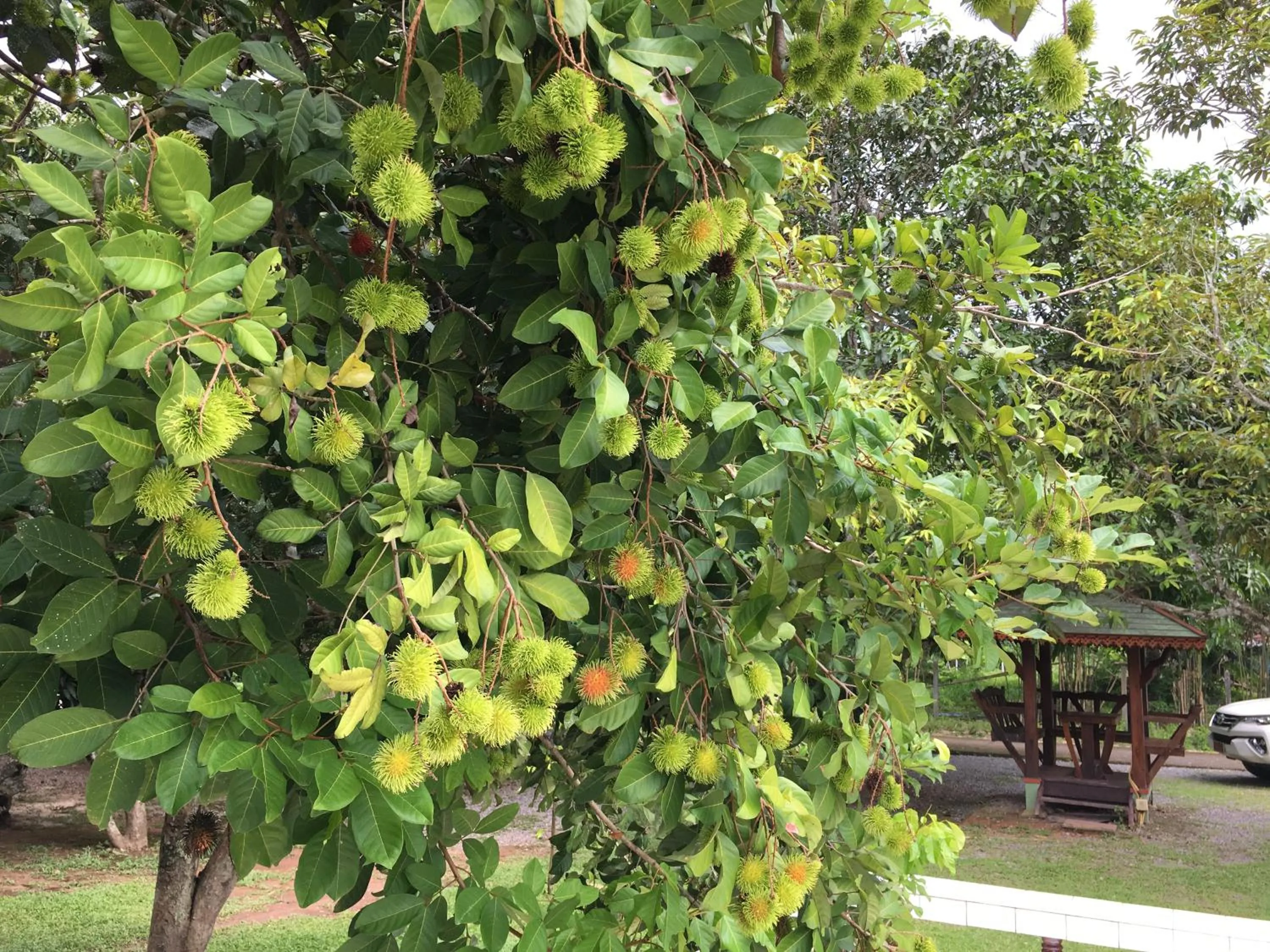 On site in นาหินลาดรีสอร์ท Nahinlad Resort