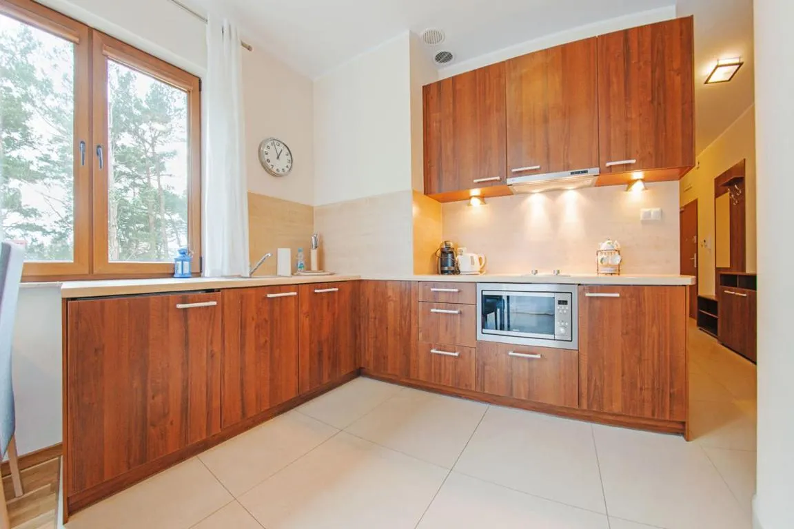 Kitchen or kitchenette in Villa Cztery Pory Roku, Sun & Snow