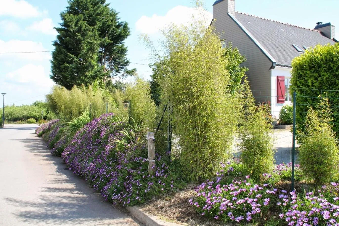 Street view in CHAMBRES D'HÔTES LOPERHET