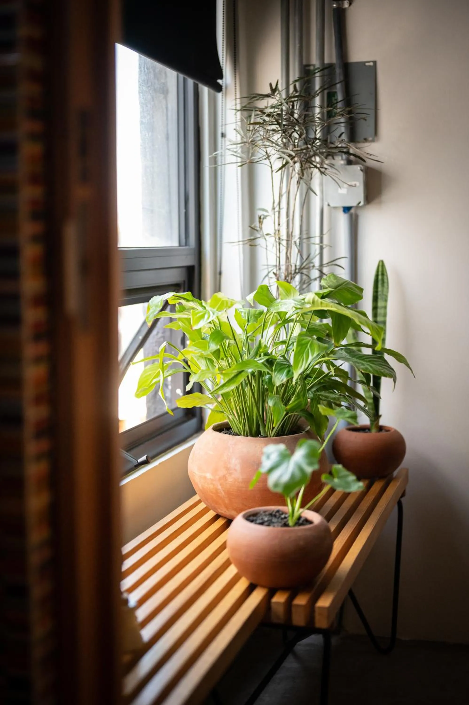 Other in Hotel Boutique Lafayette Tijuana