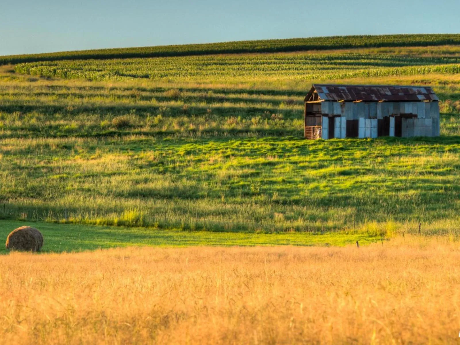 Natural landscape in Flitwick Ranch