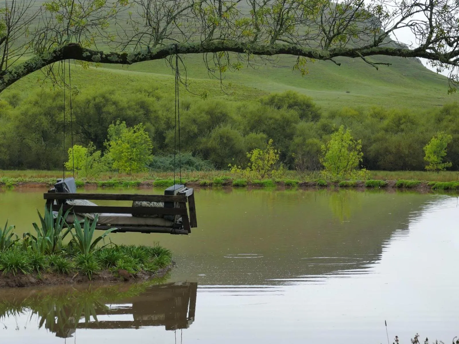 Lake view in Flitwick Ranch