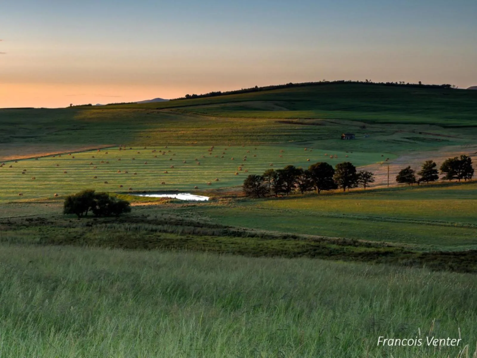 Natural landscape in Flitwick Ranch