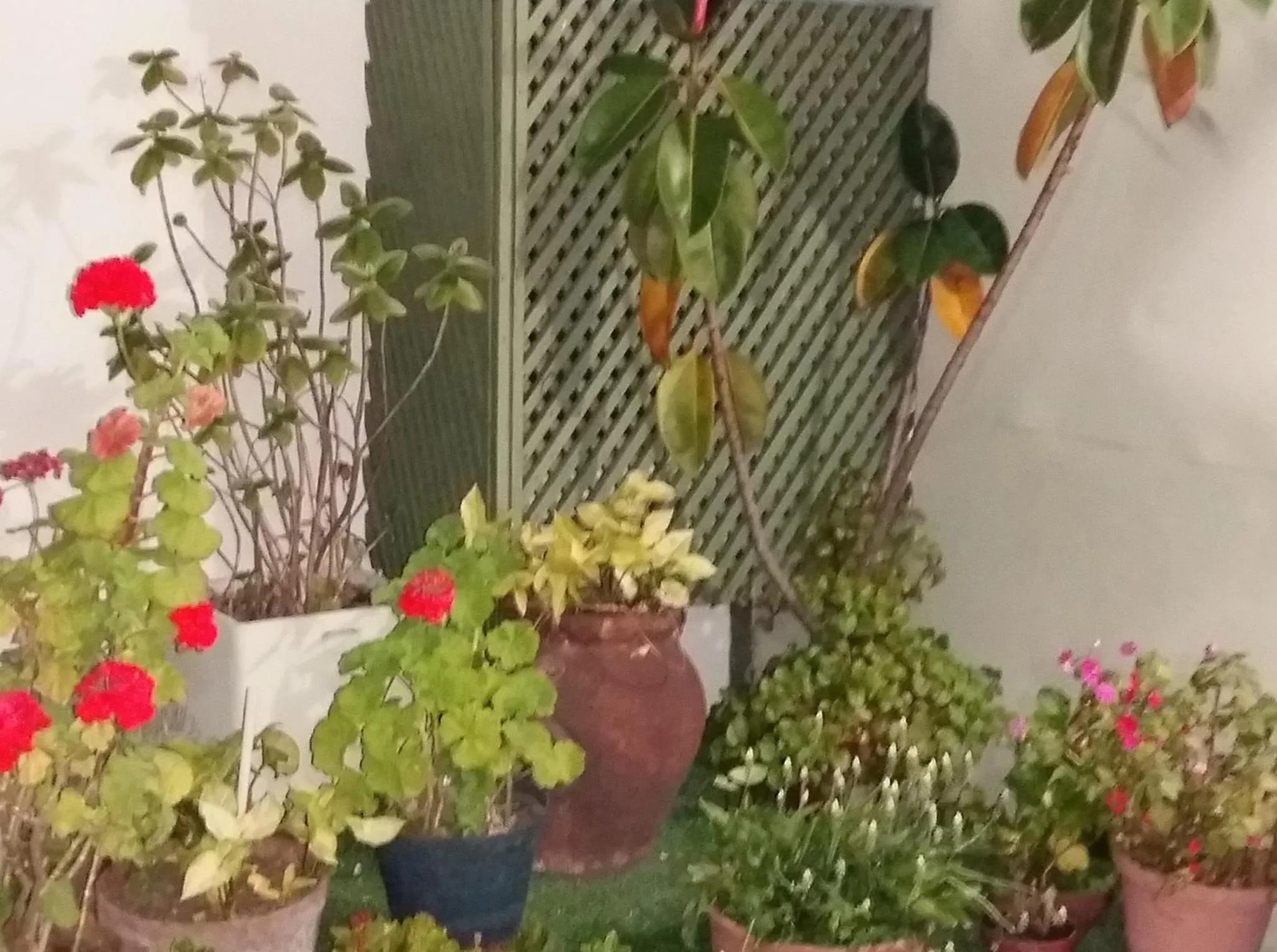 Decorative detail in Hotel Uruguay