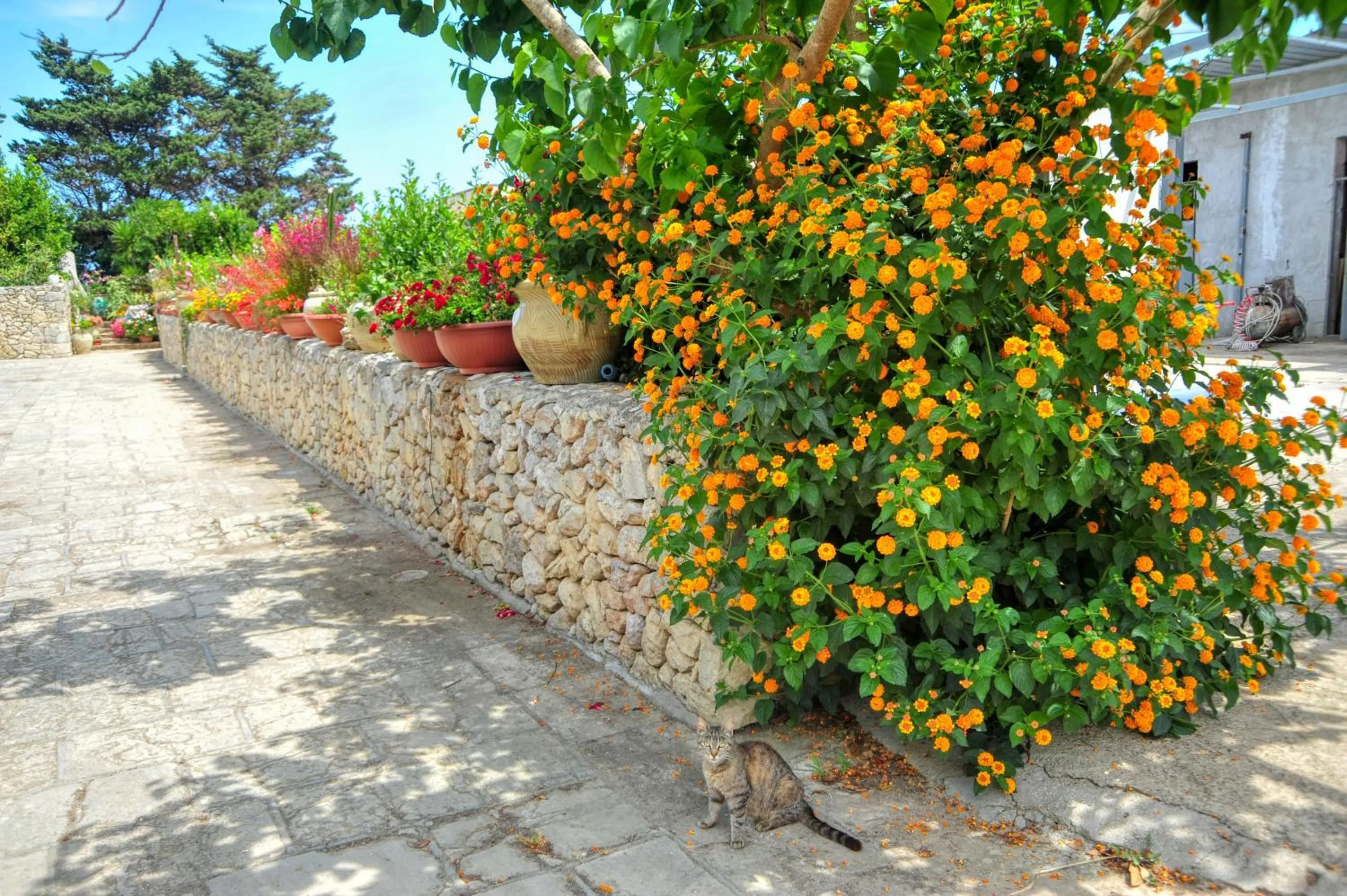 Garden in Residence Villa Grotta Monaca