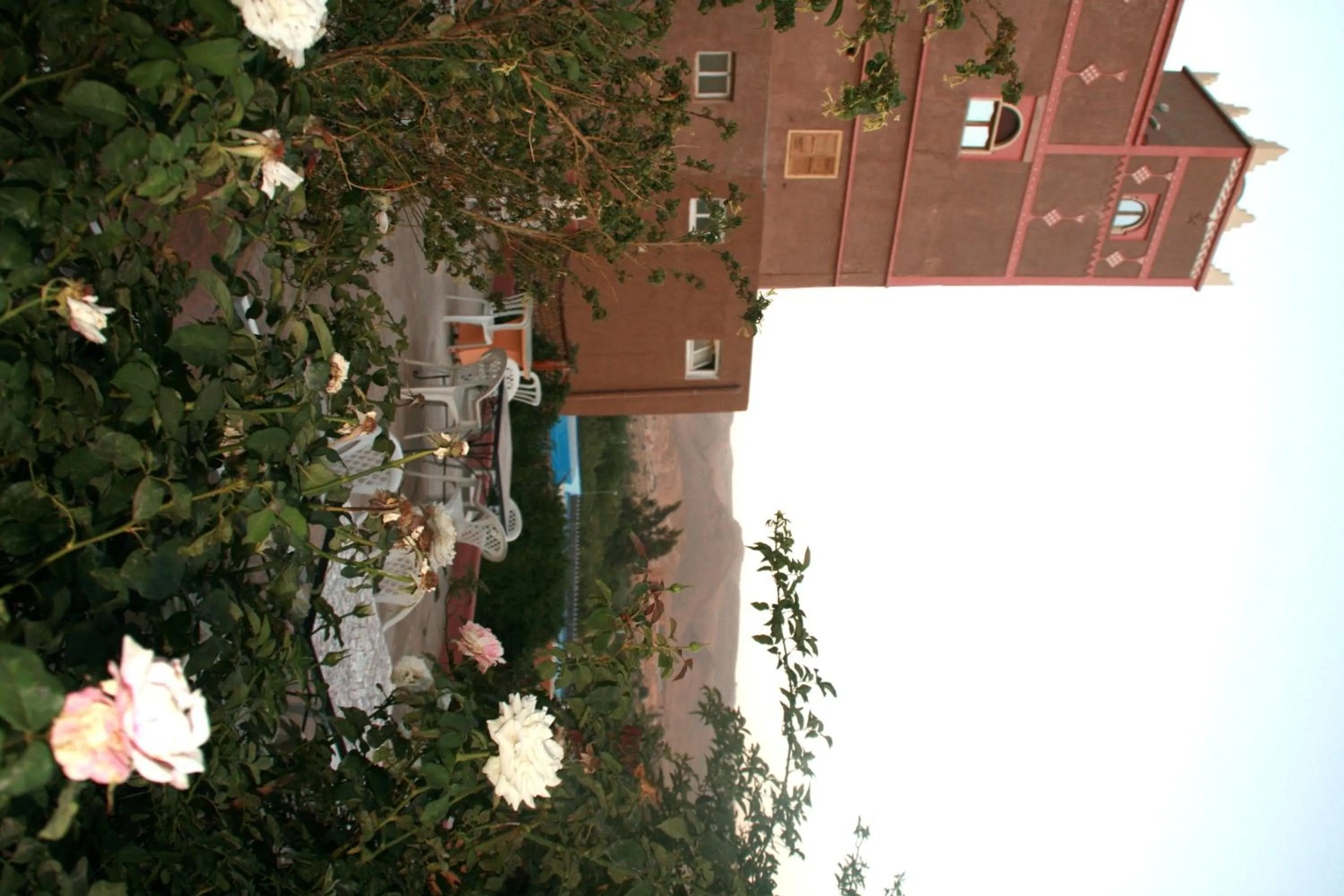 Garden view in Auberge Restaurant le Safran