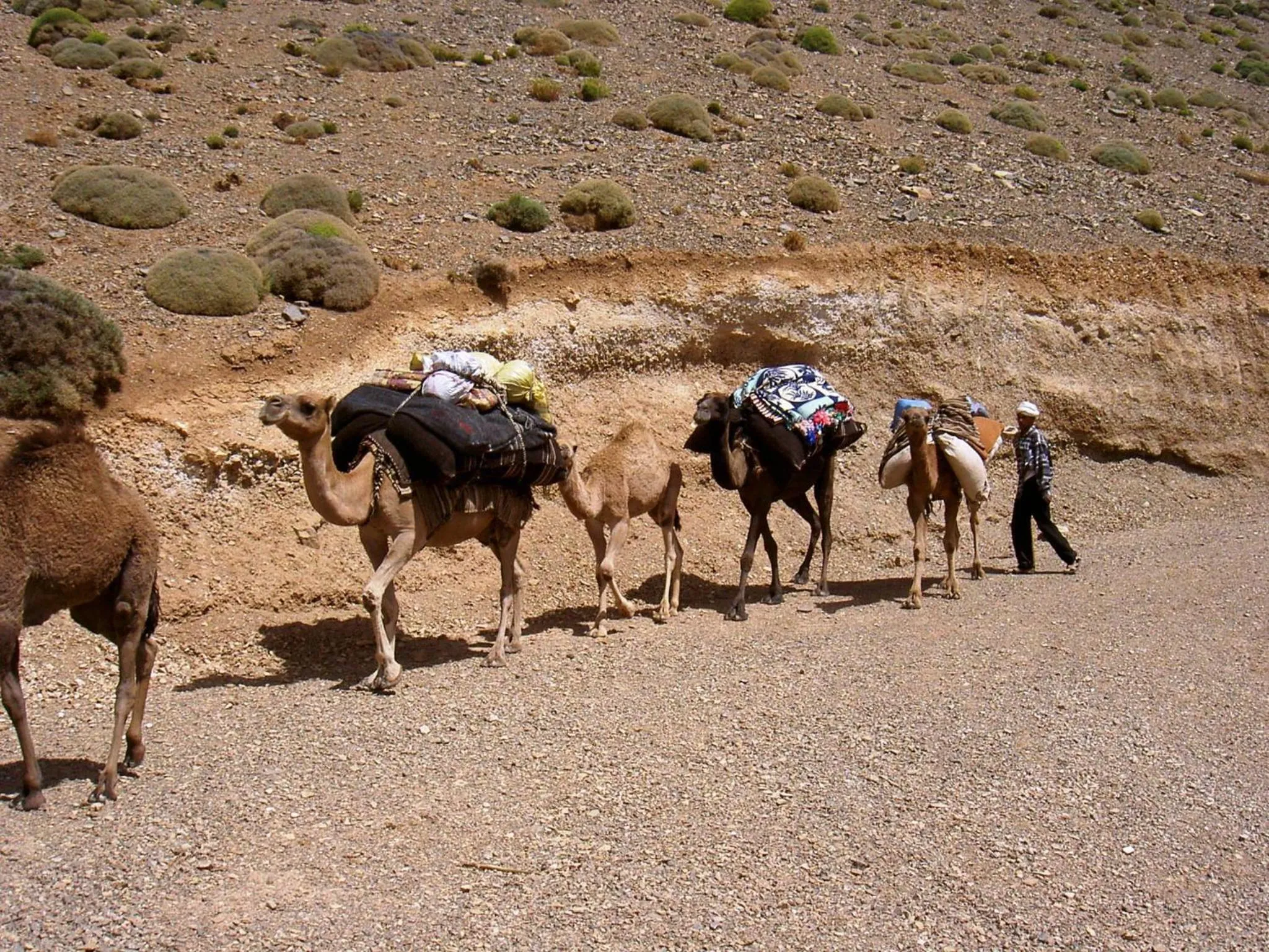 Hiking in Auberge Restaurant le Safran