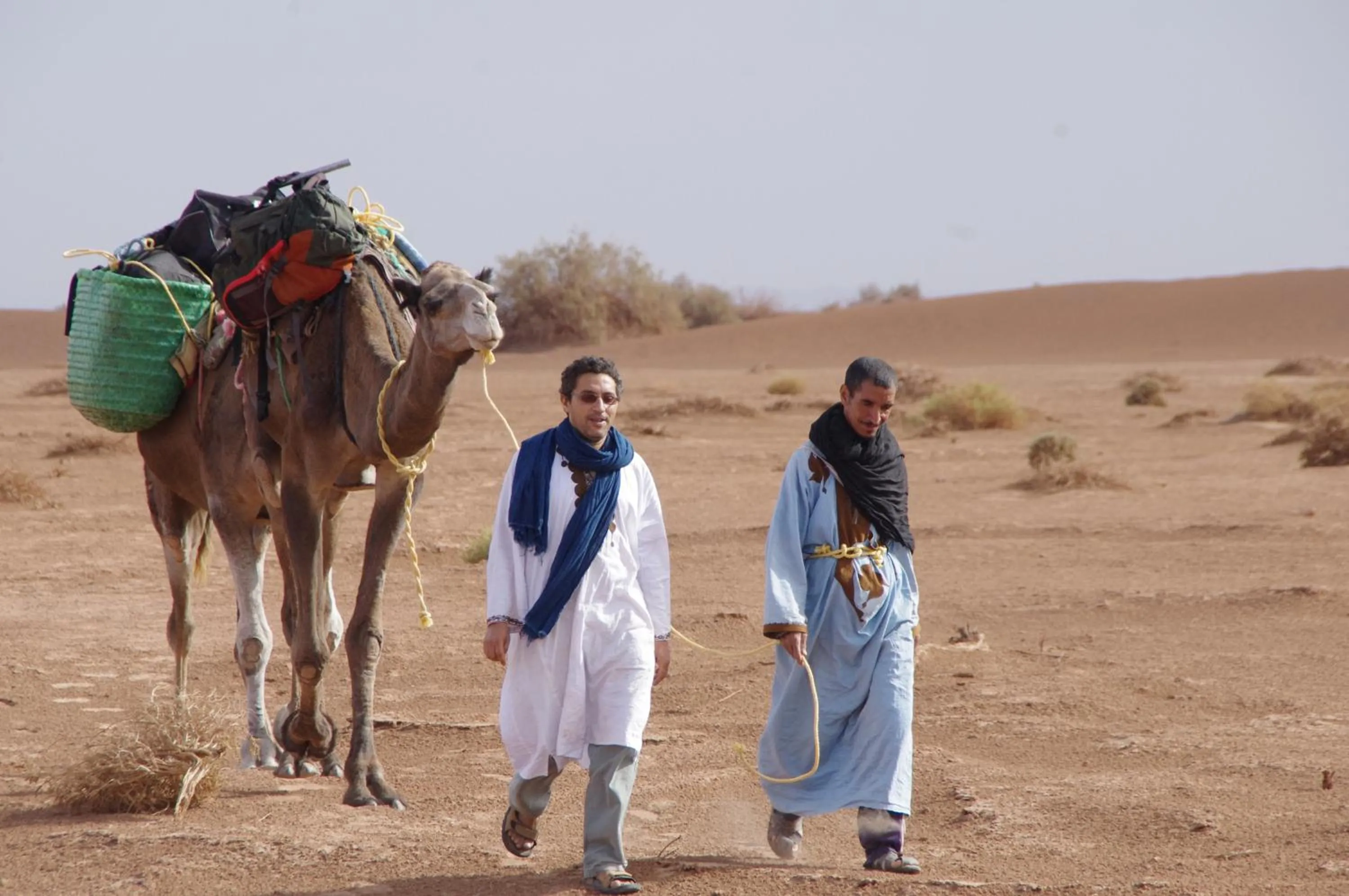 Activities in Auberge Restaurant le Safran