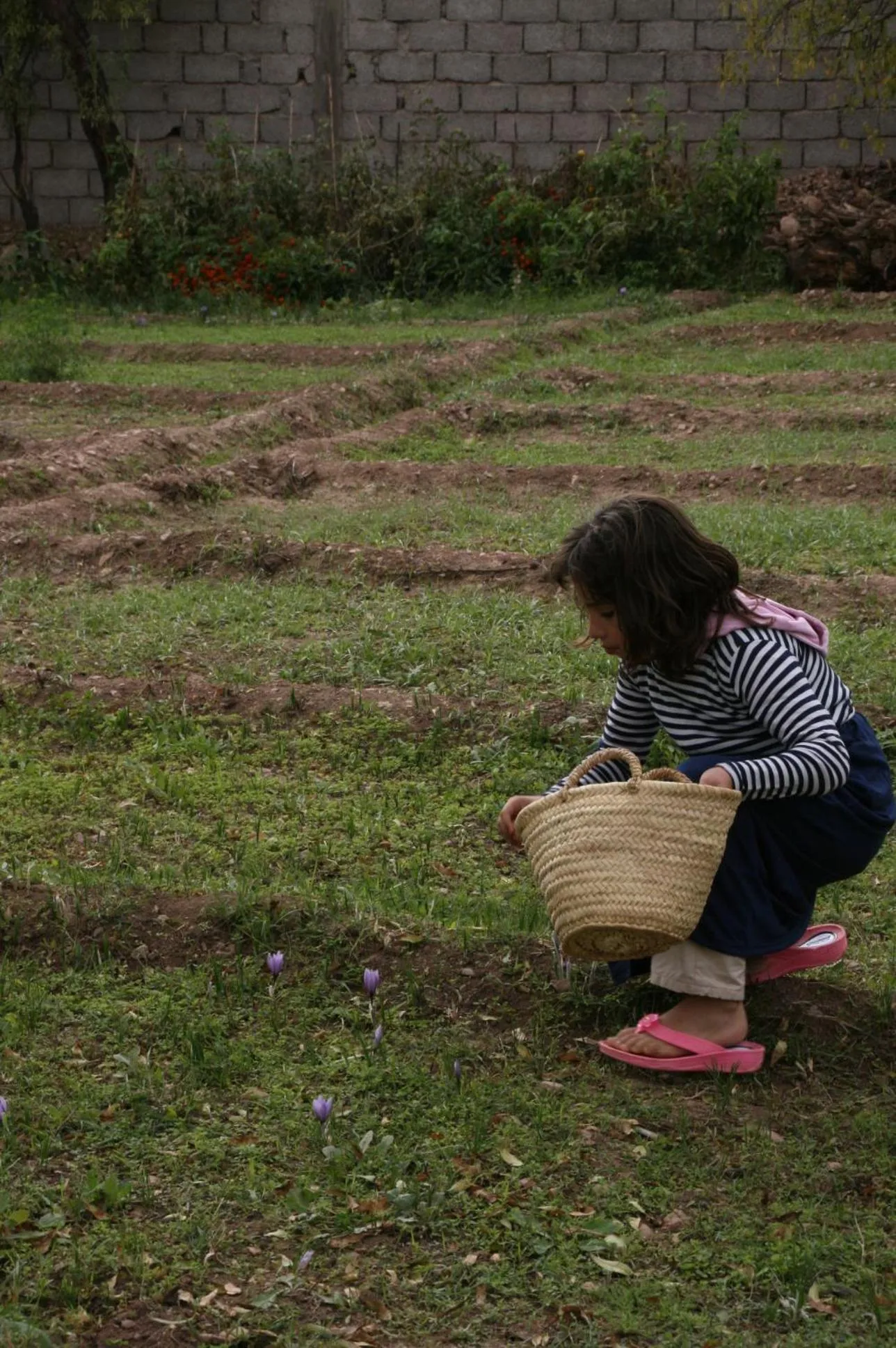 Sports in Auberge Restaurant le Safran