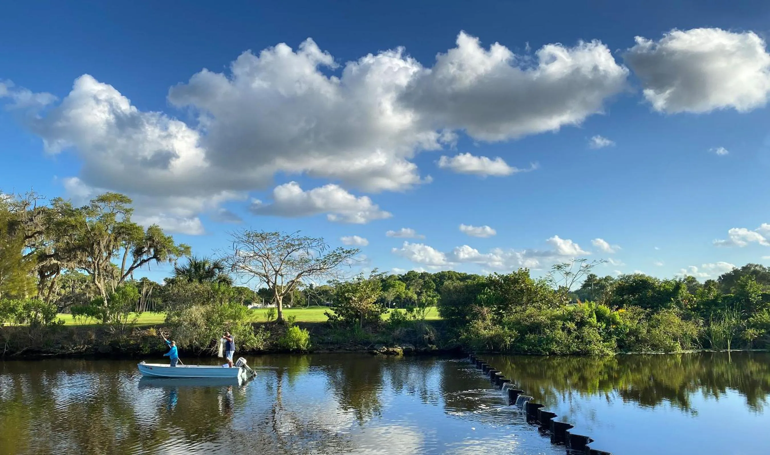 Natural landscape in South Beach Place - Vero Beach
