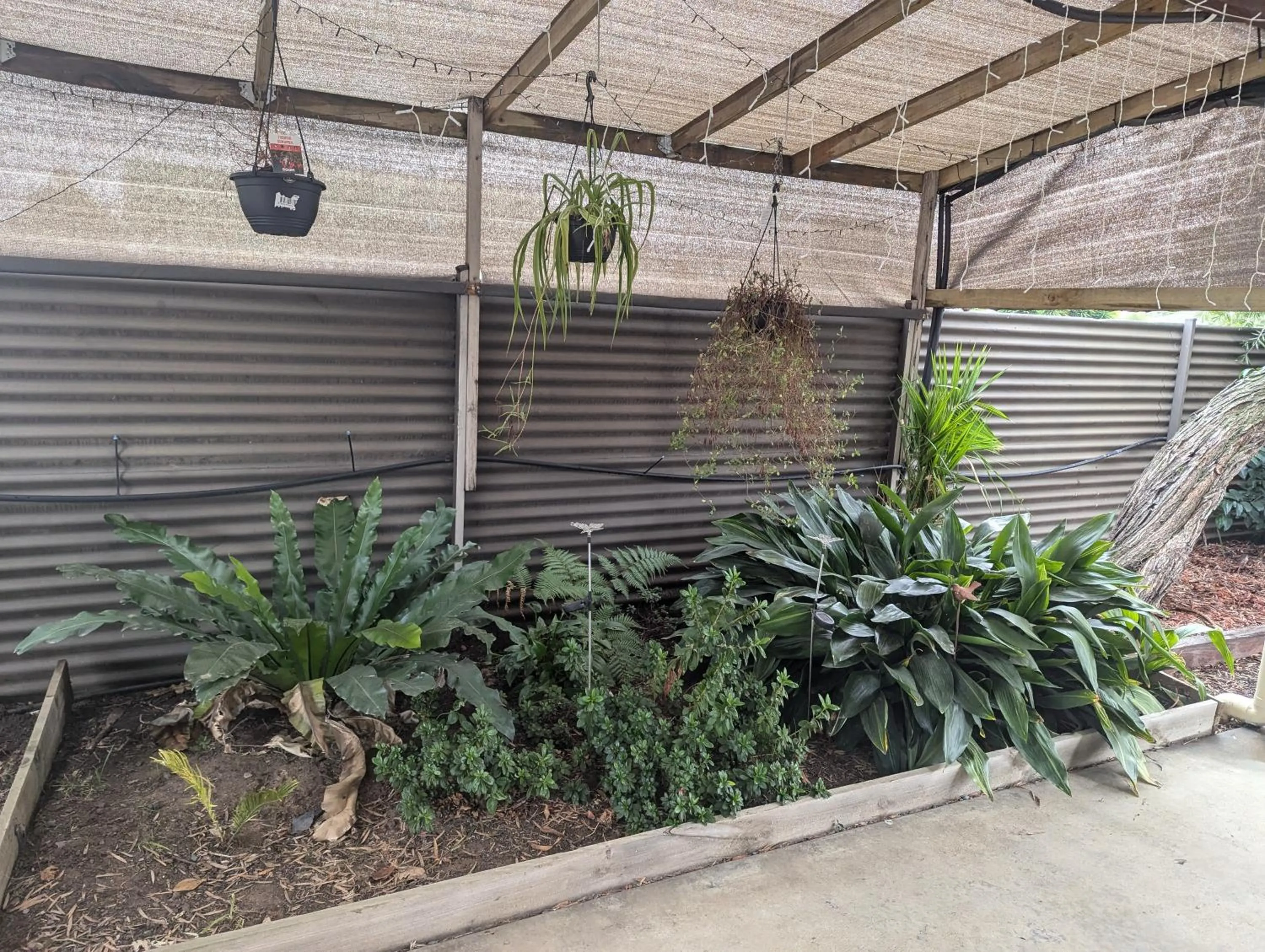 Kyabram Country Motel