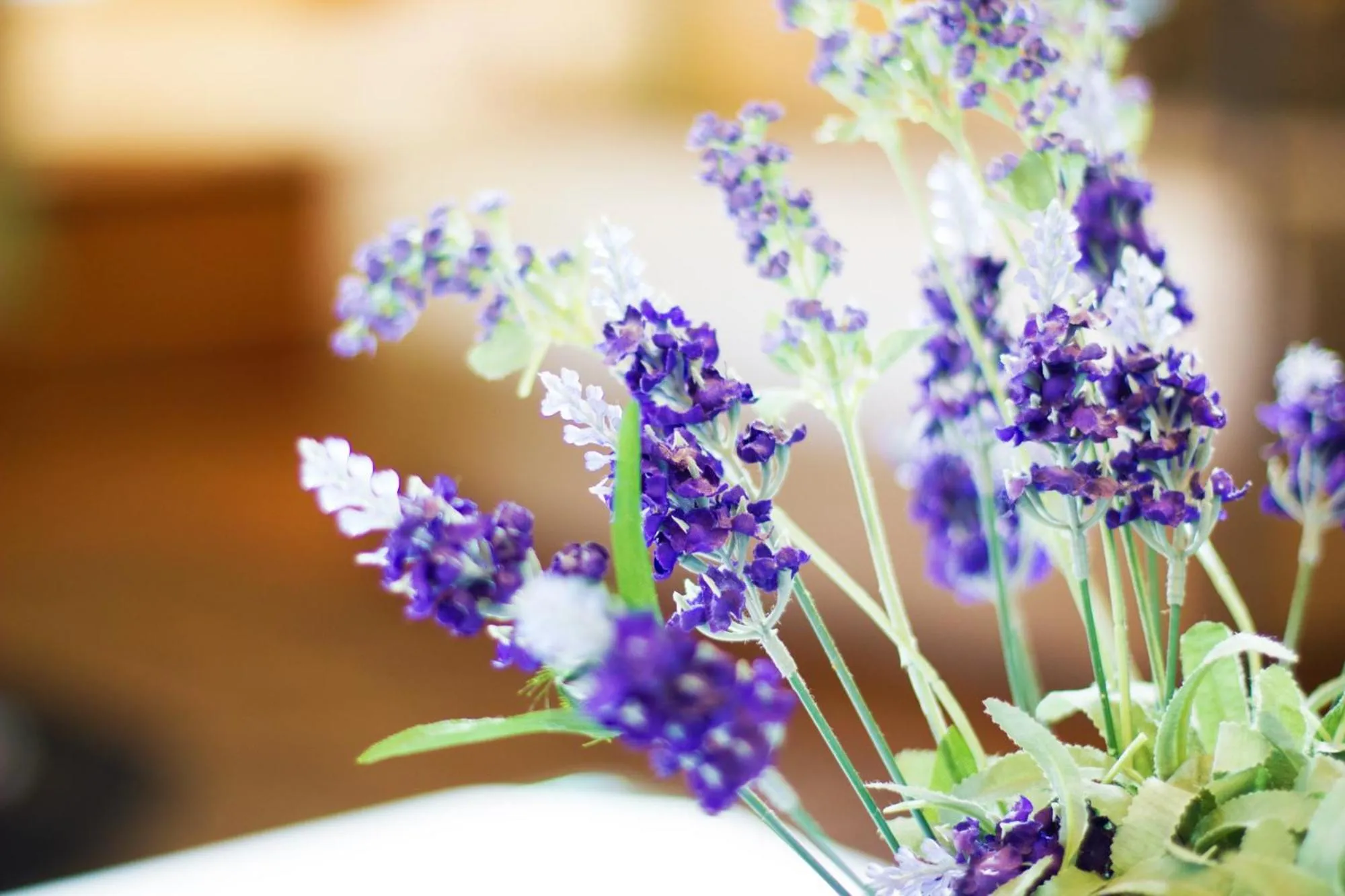 Decorative detail in Marwood Villas