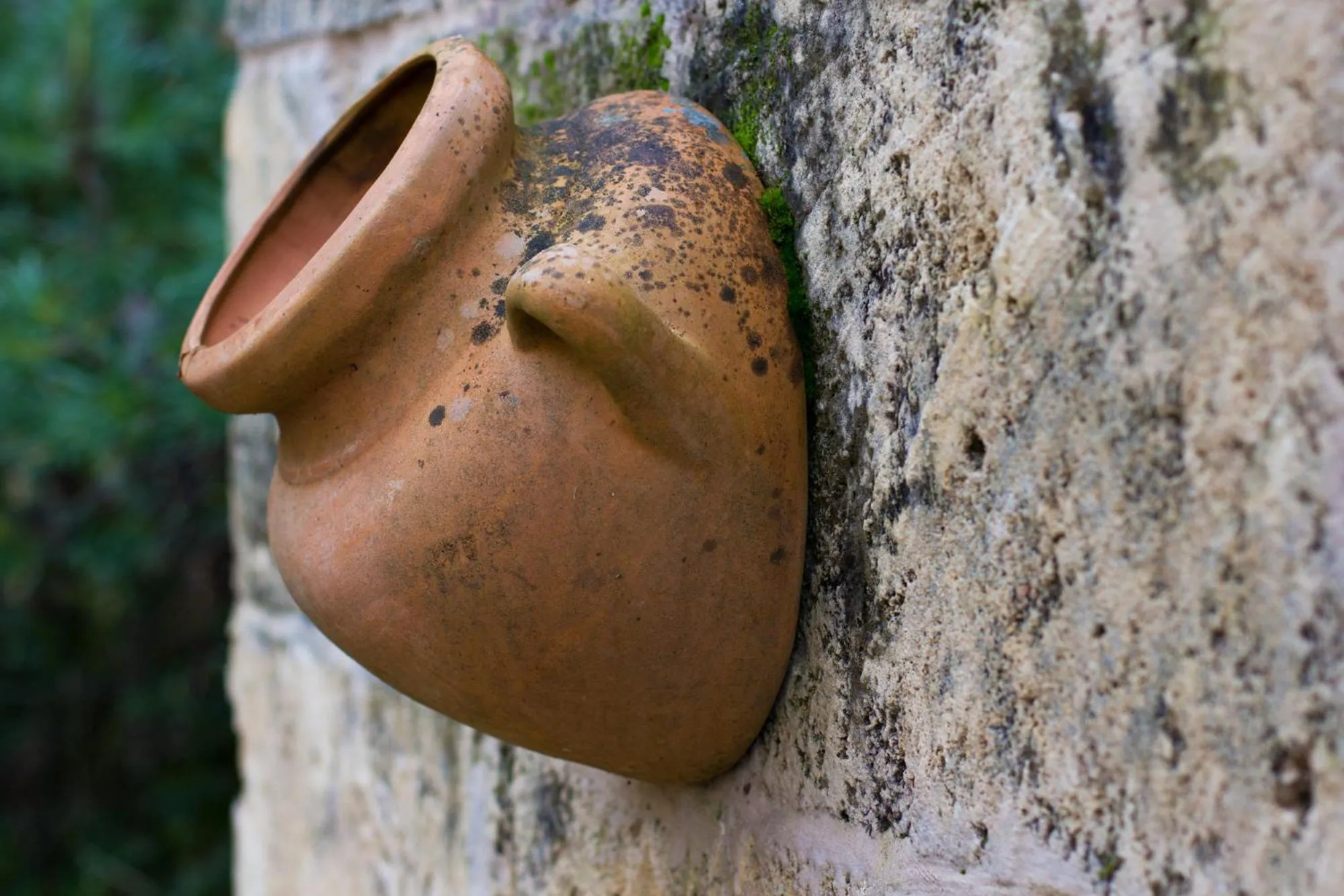 Decorative detail in Marwood Villas